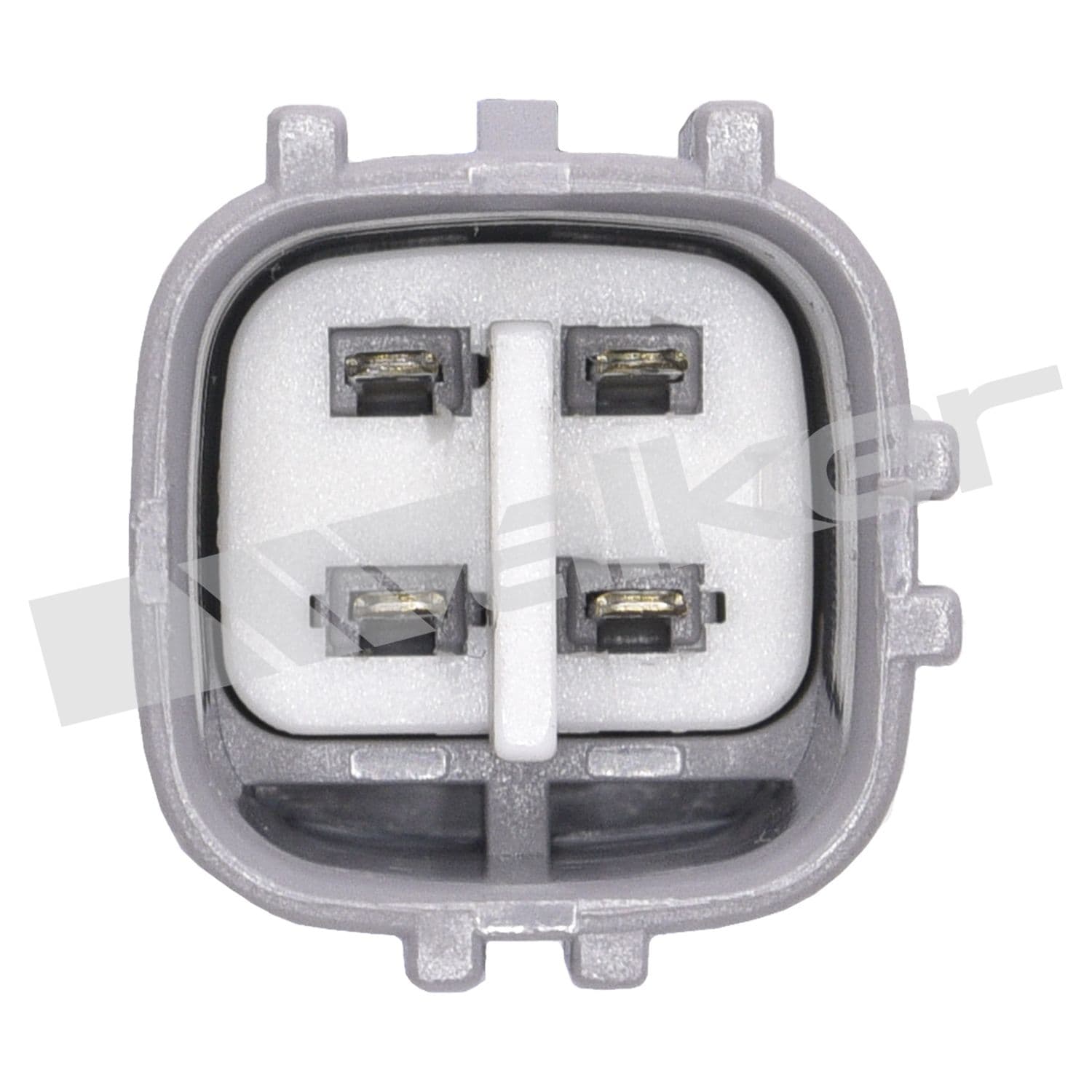 226-250-24404 - Image 4