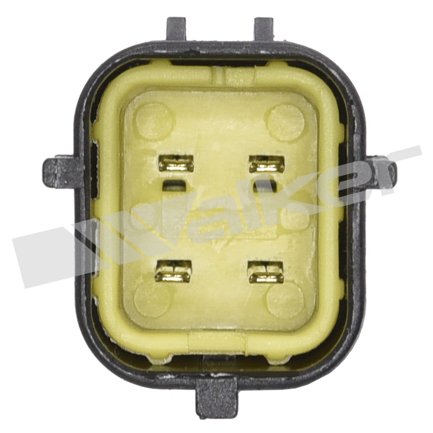 226-250-24438 - Image 2