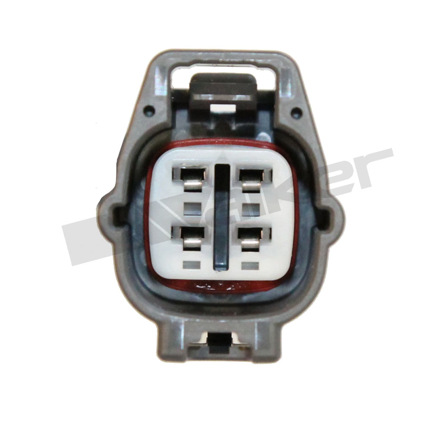 226-350-341006 - Image 3