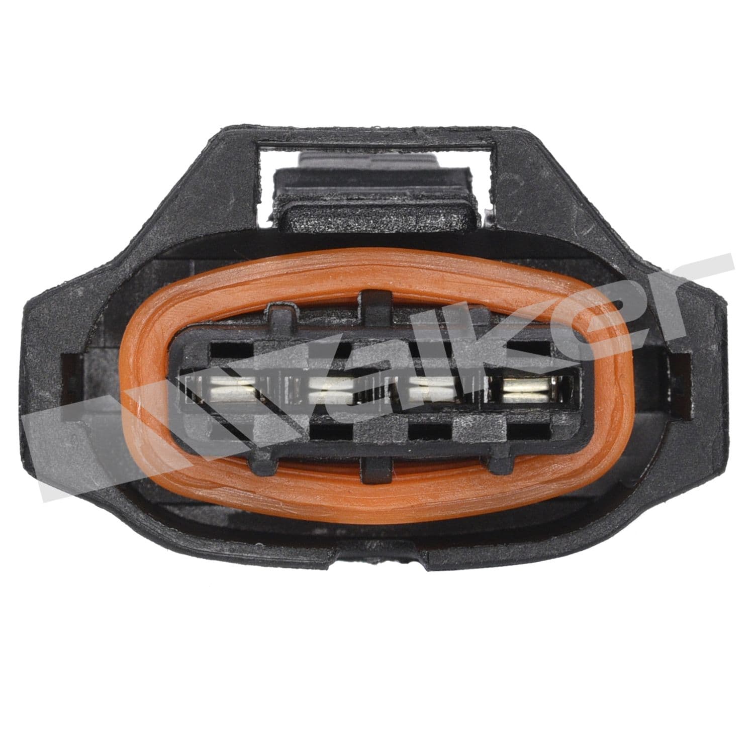 226-250-24682 - Image 3