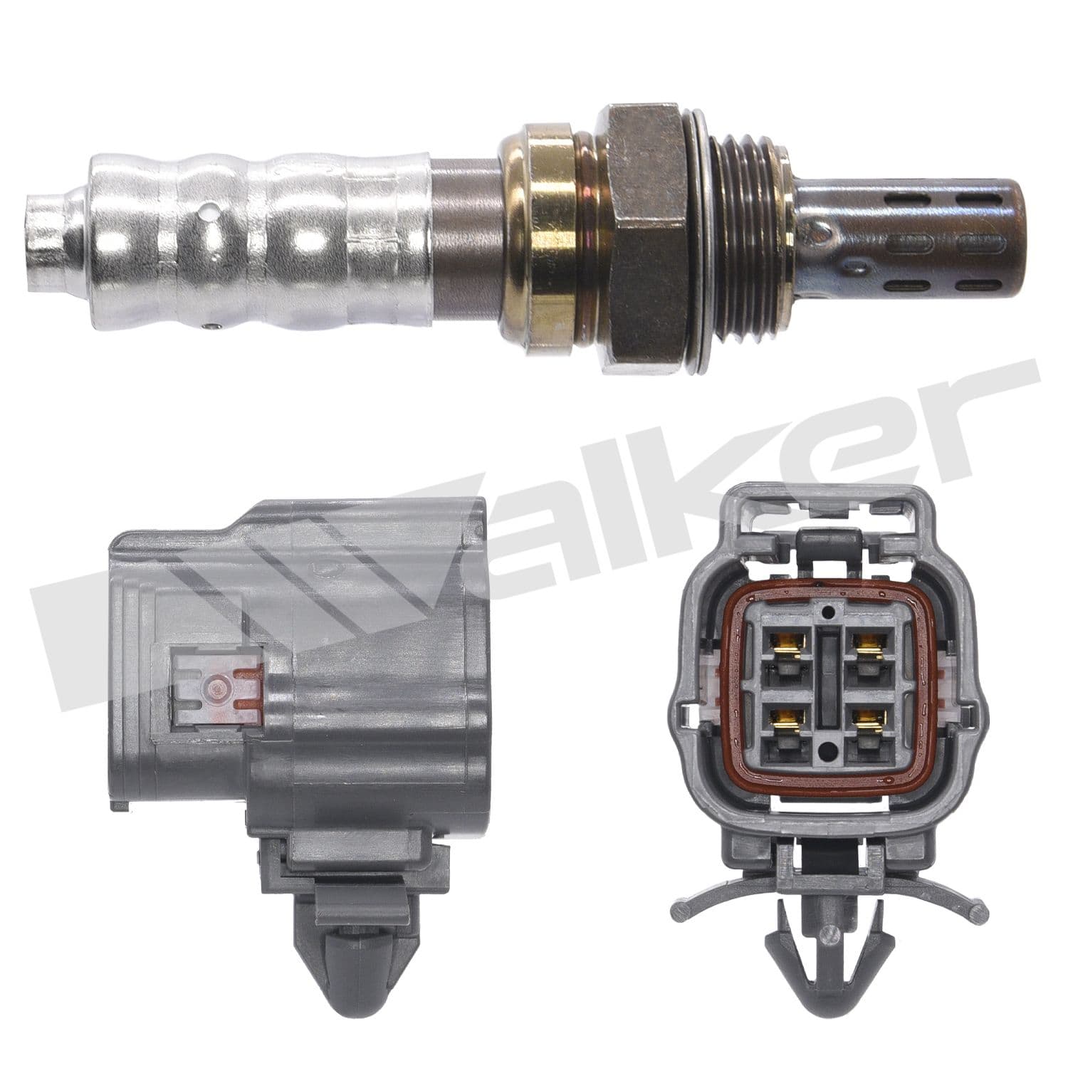 226-250-24859 - Image 2