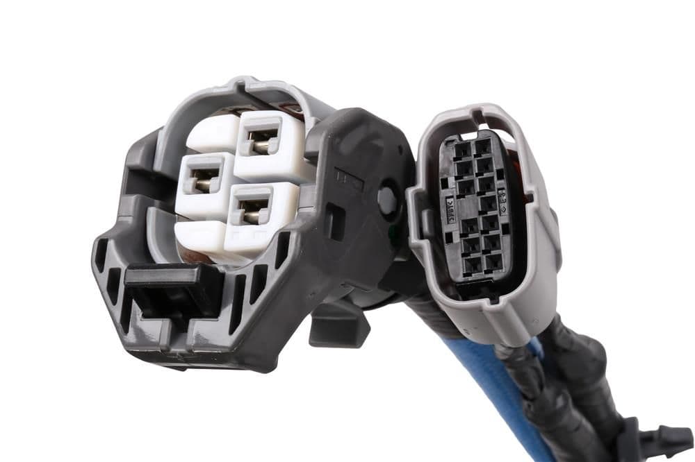 4-19210915 - Image 2