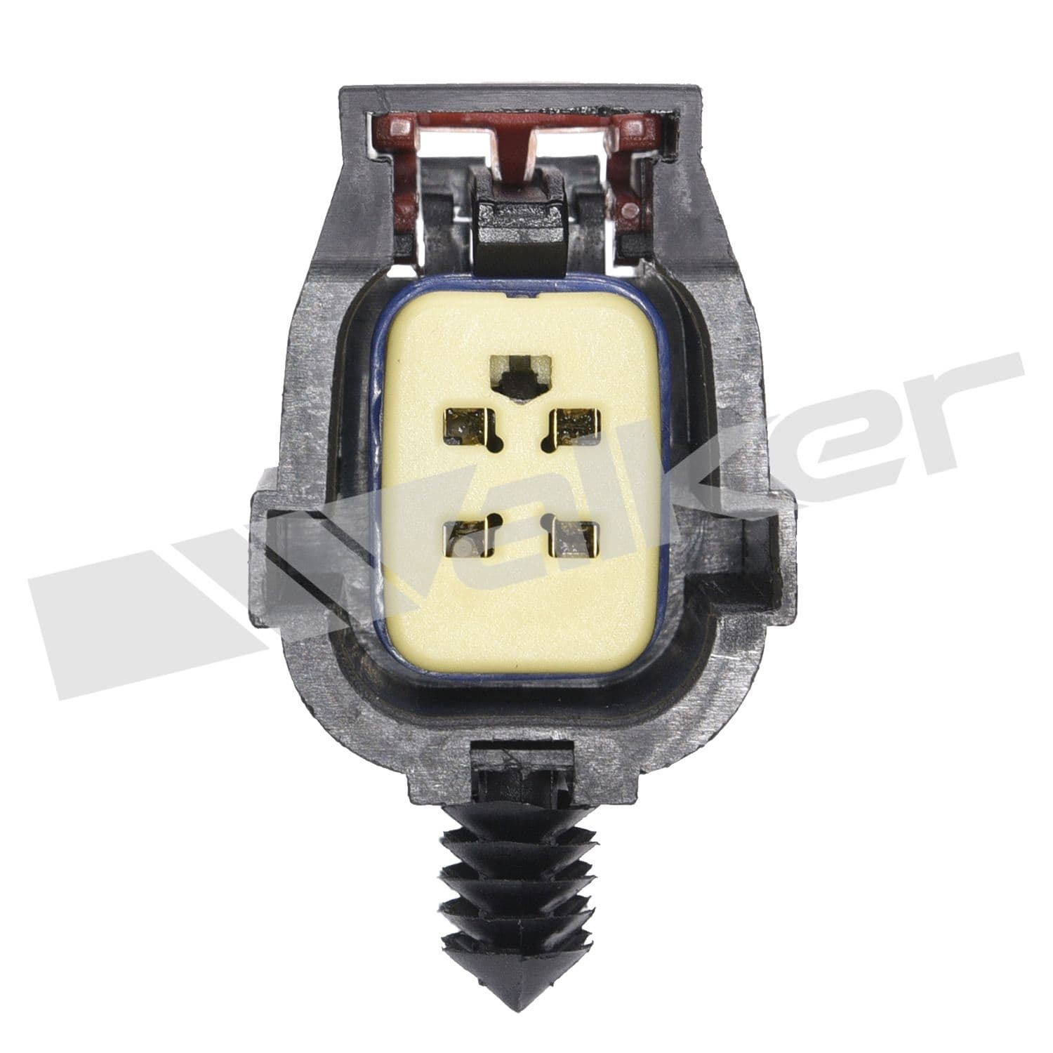 226-250-24294 - Image 4