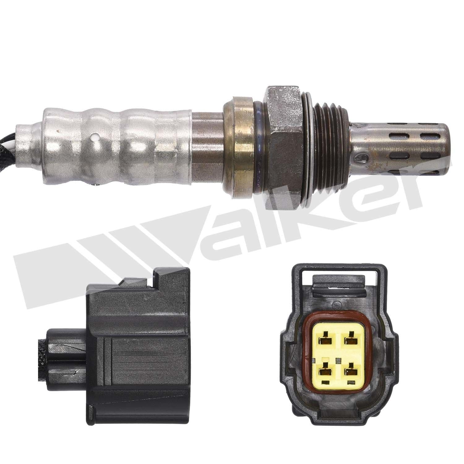 226-250-241117 - Image 2