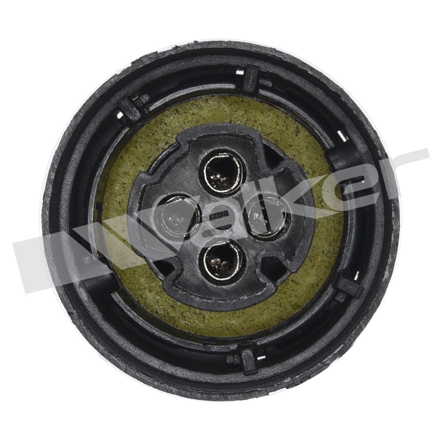 226-250-24605 - Image 3