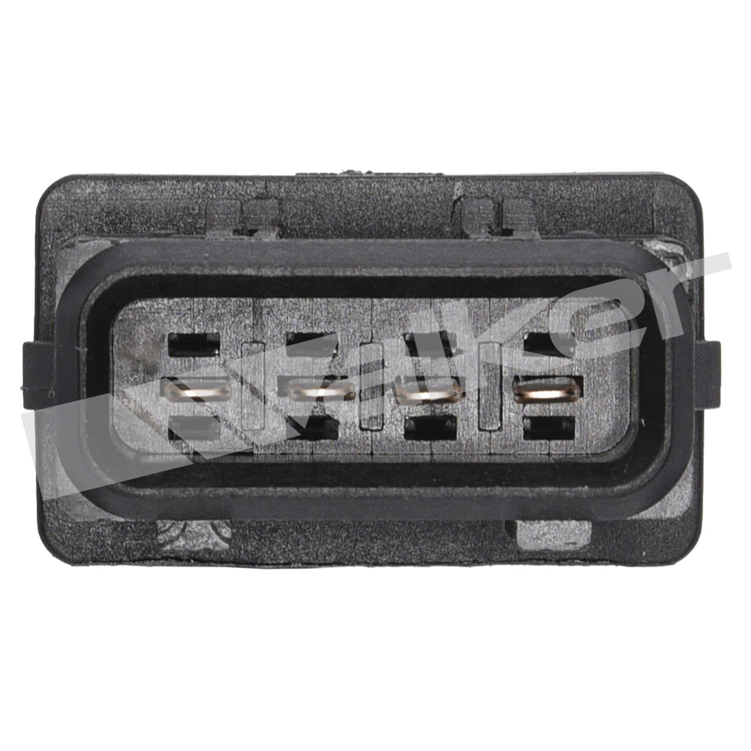 226-250-24428 - Image 3