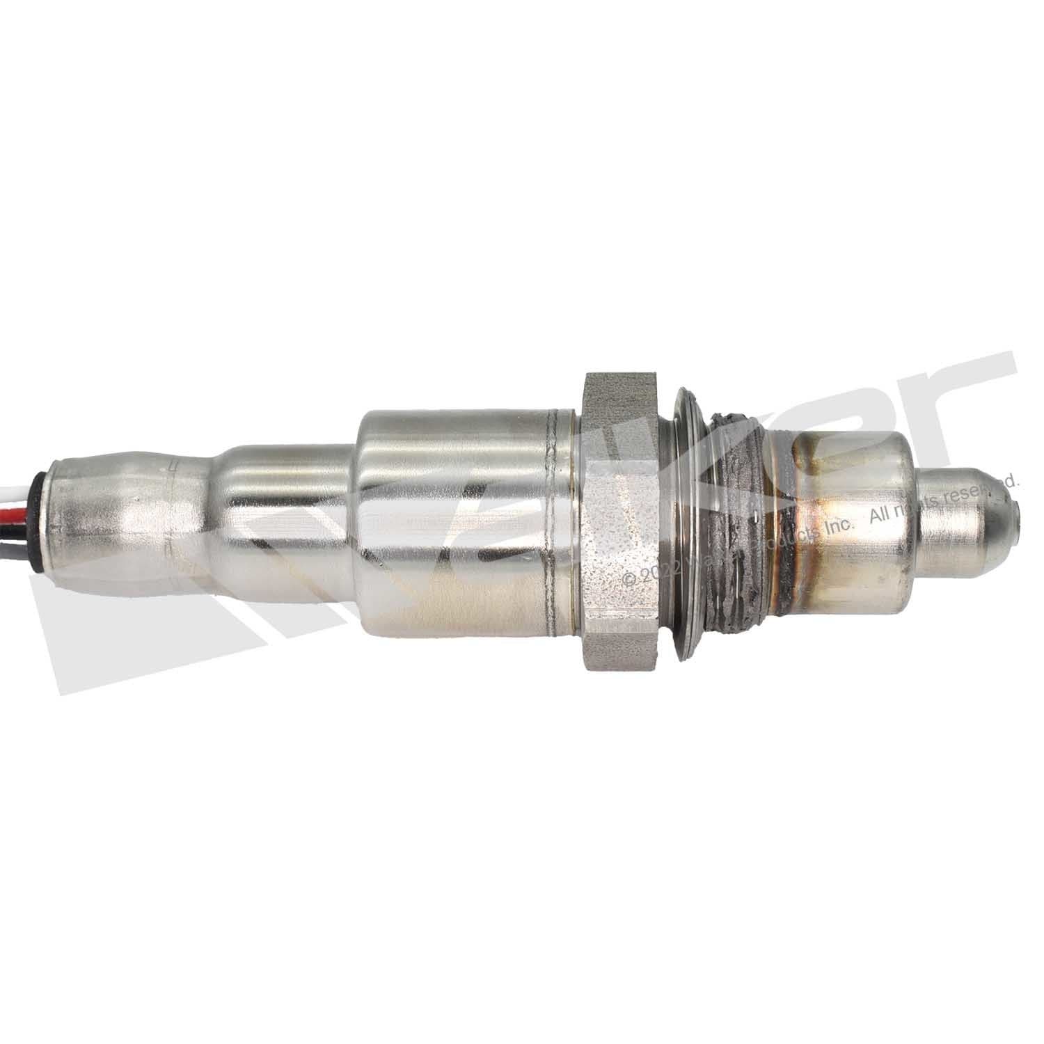 226-250-241305 - Image 2