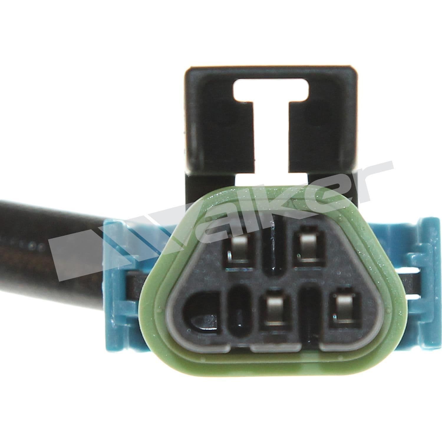 226-250-241187 - Image 4