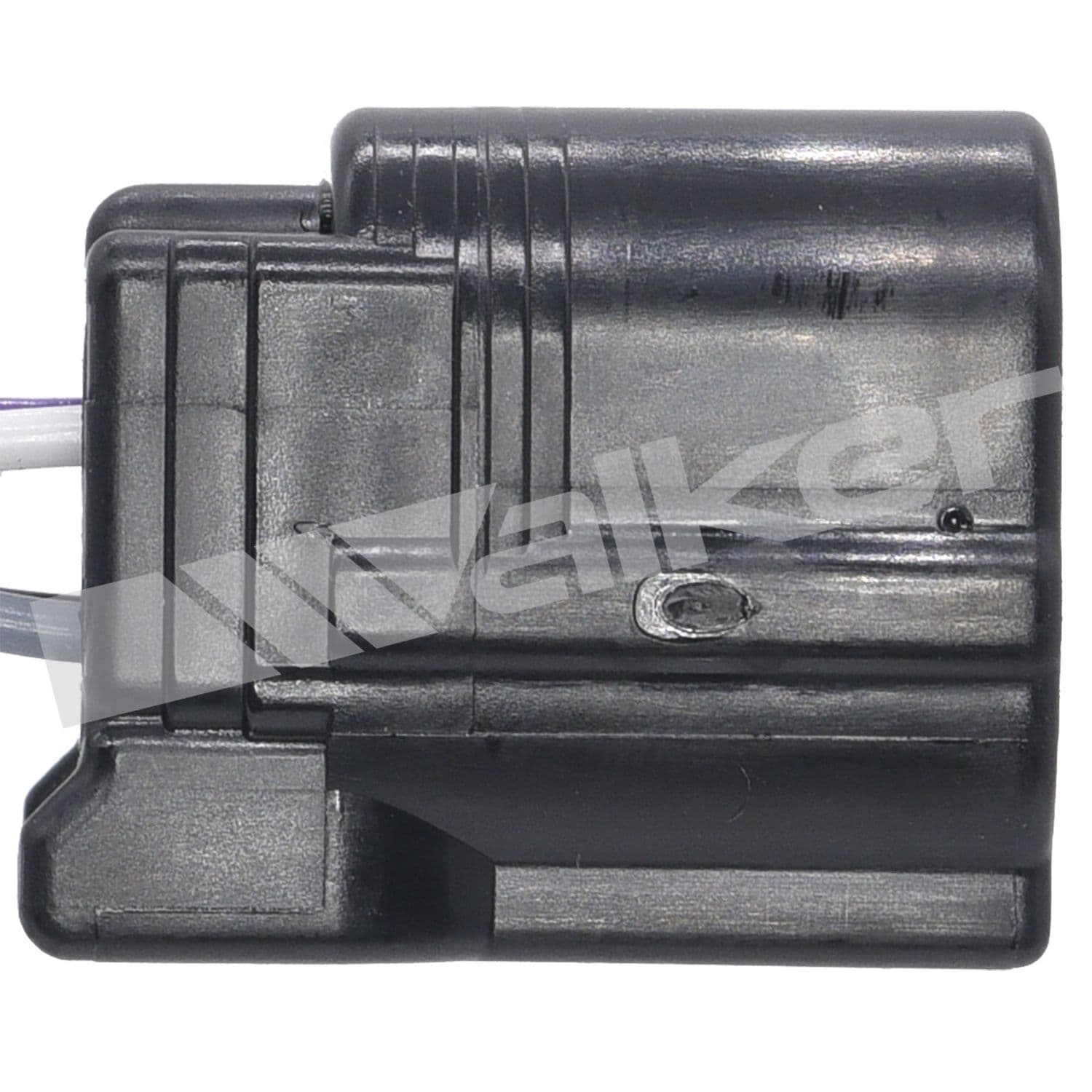 226-250-24833 - Image 3