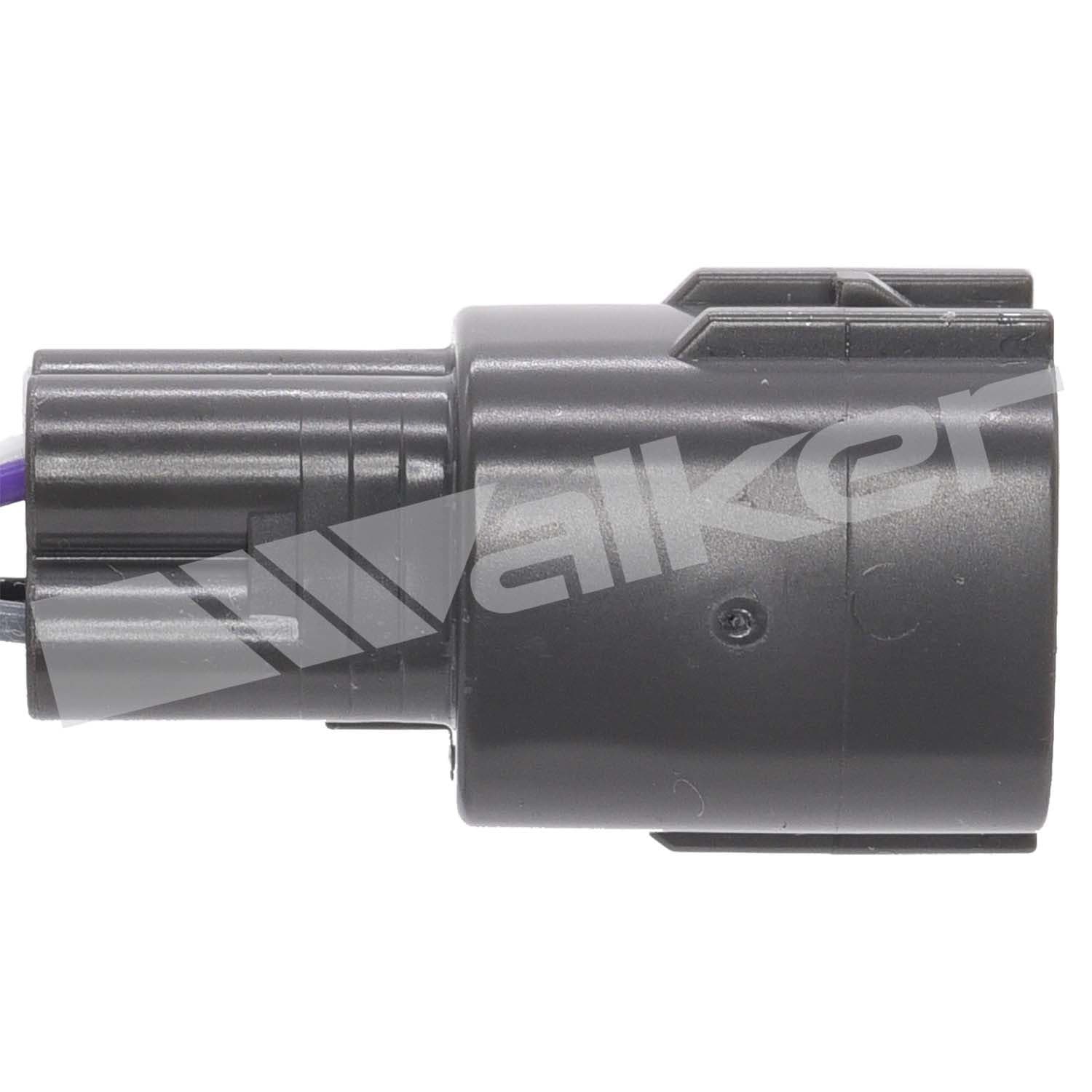 226-250-241264 - Image 4