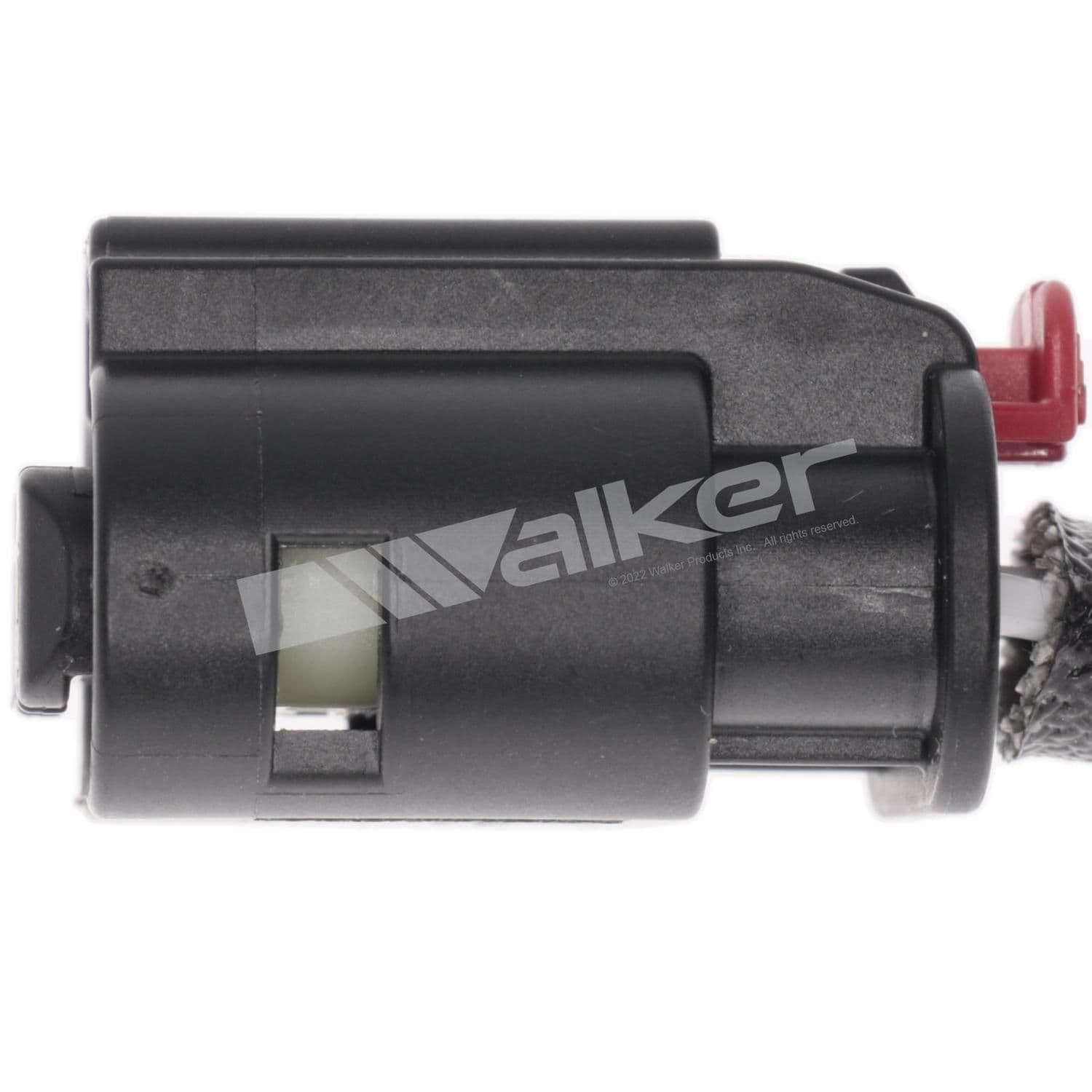 226-250-241318 - Image 3