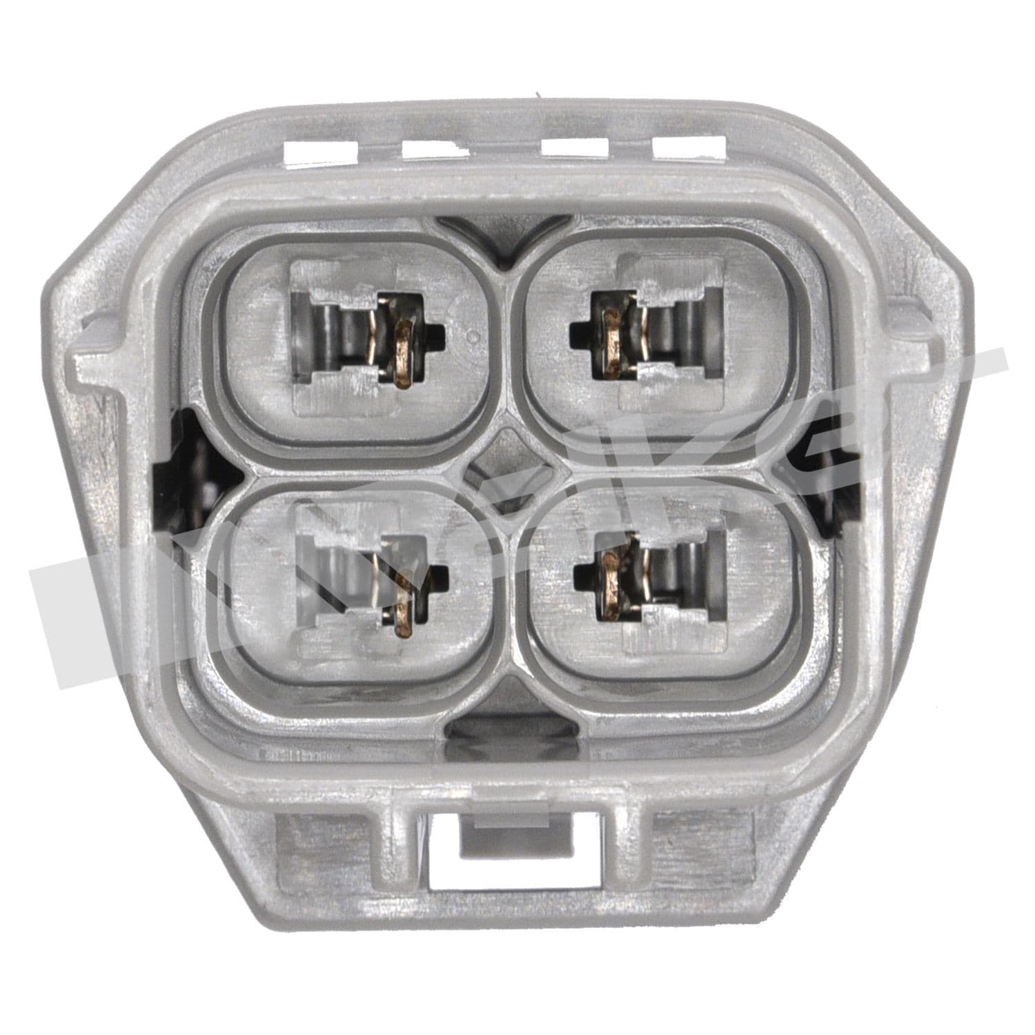 226-250-24284 - Image 2