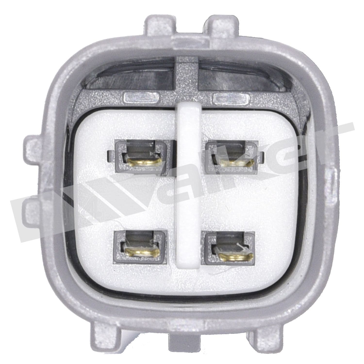 226-250-24153 - Image 3