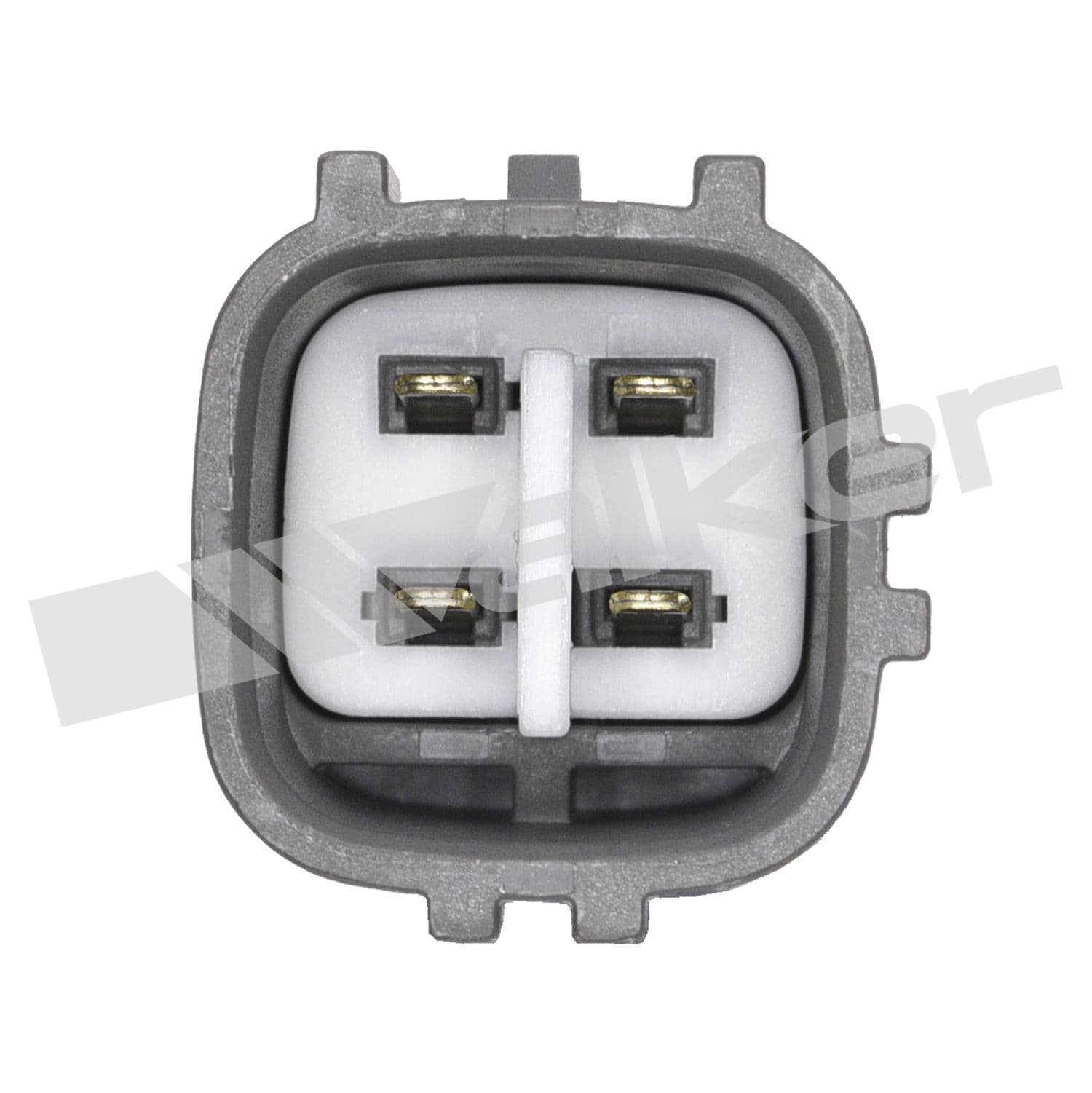 226-250-24305 - Image 2