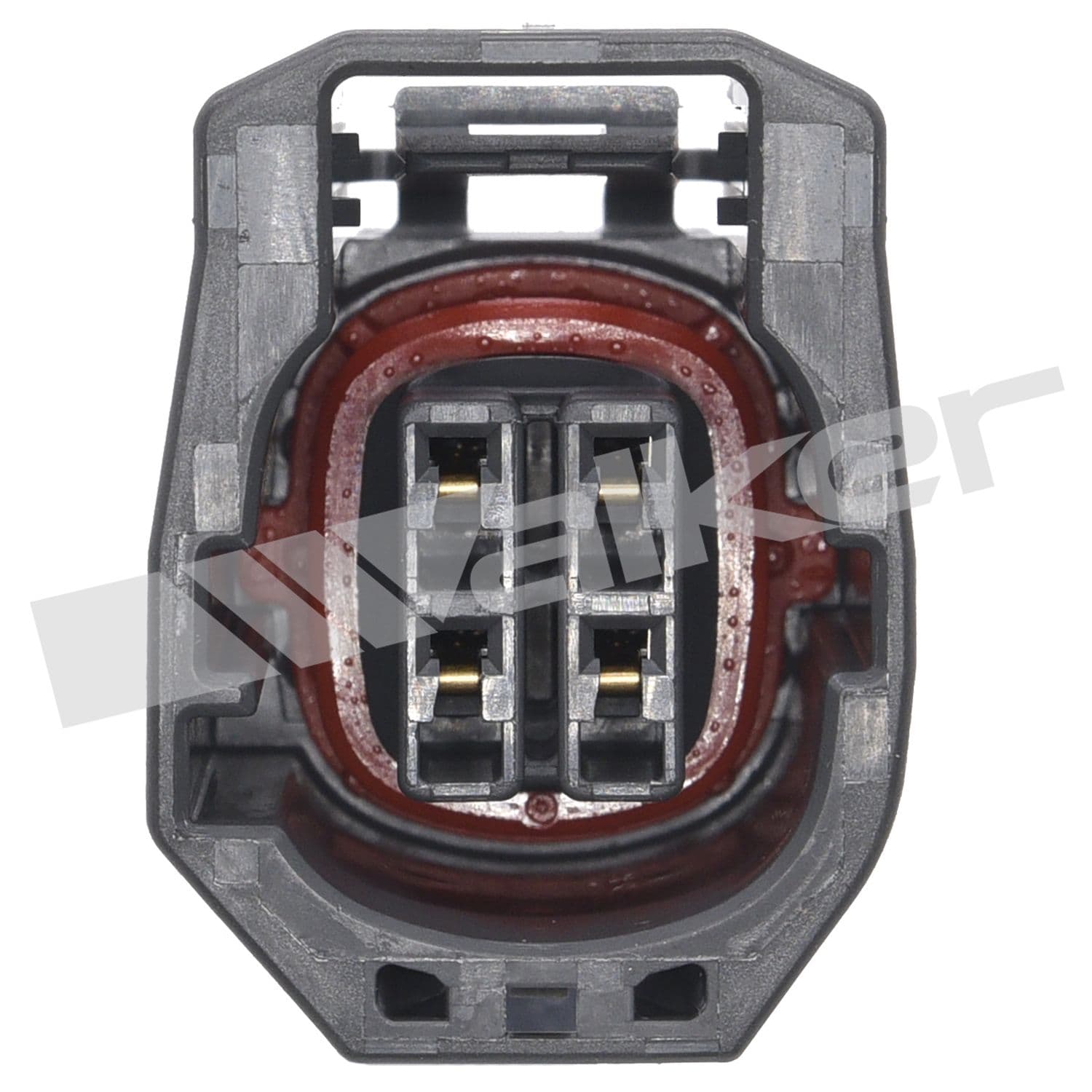 226-250-24795 - Image 4