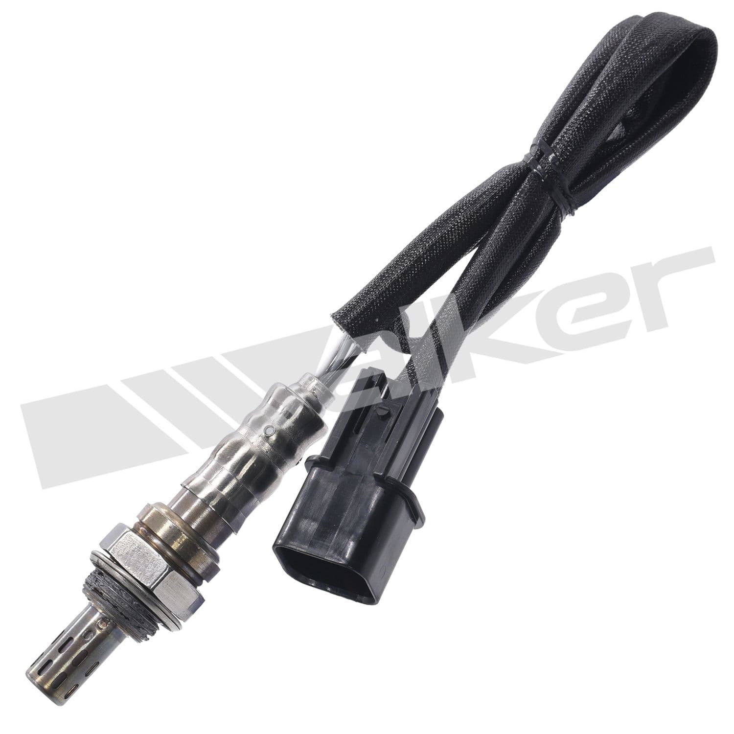 226-250-24916 - Image 1