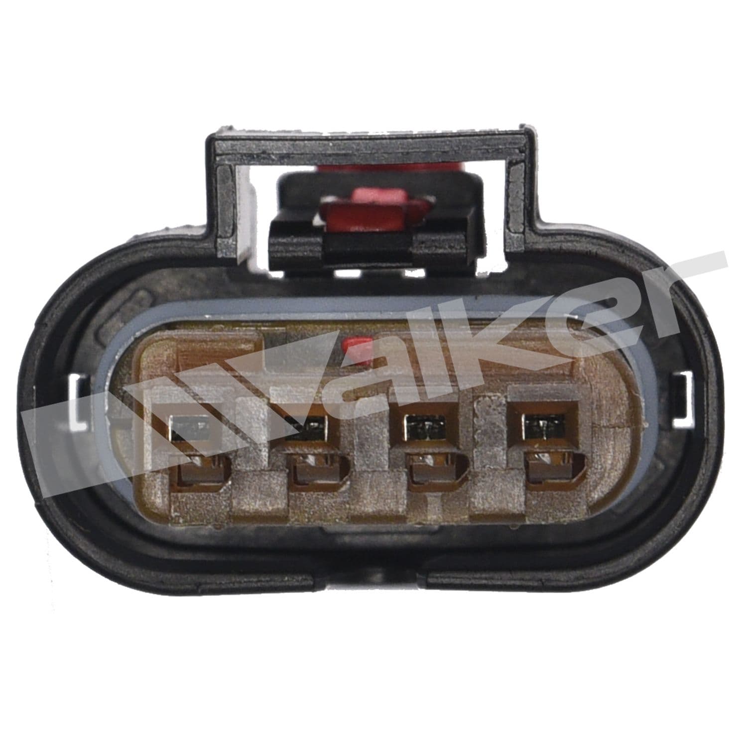 226-250-241225 - Image 4