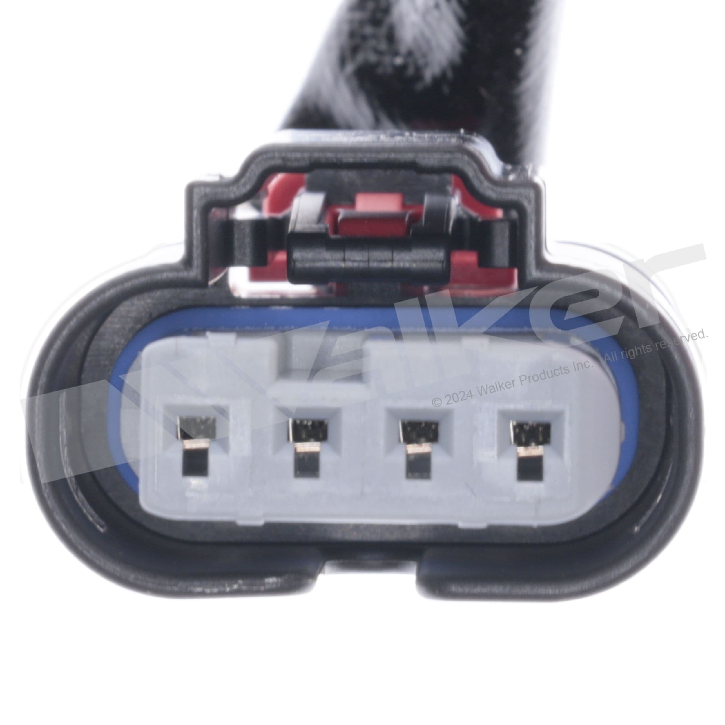 226-250-241330 - Image 2