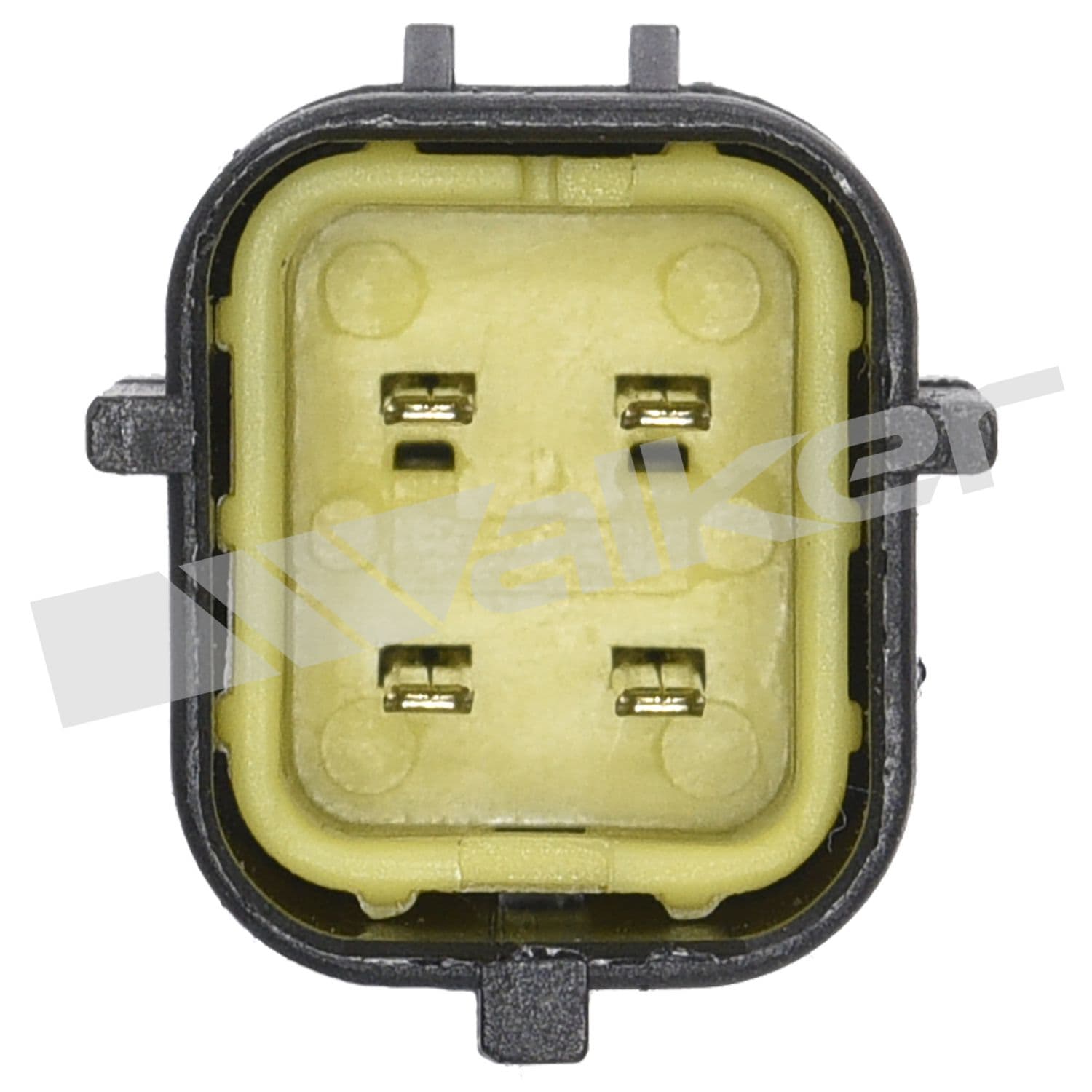 226-250-24384 - Image 3