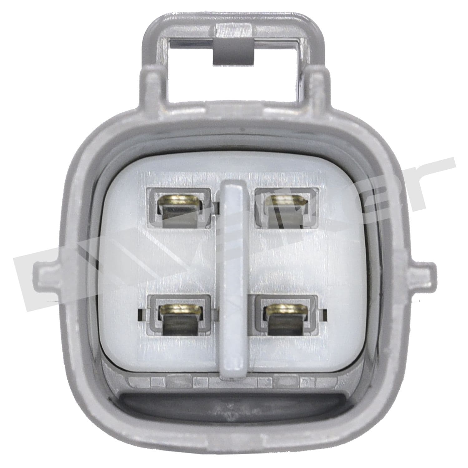 226-250-24870 - Image 4