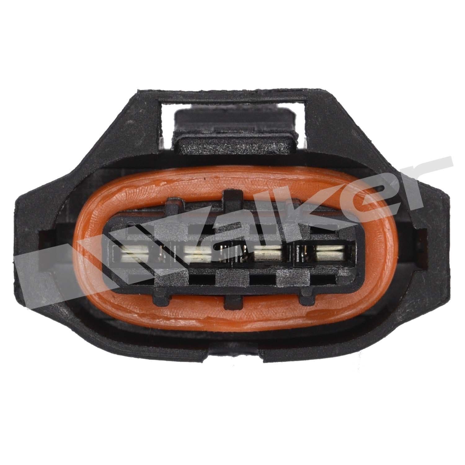 226-250-241125 - Image 4