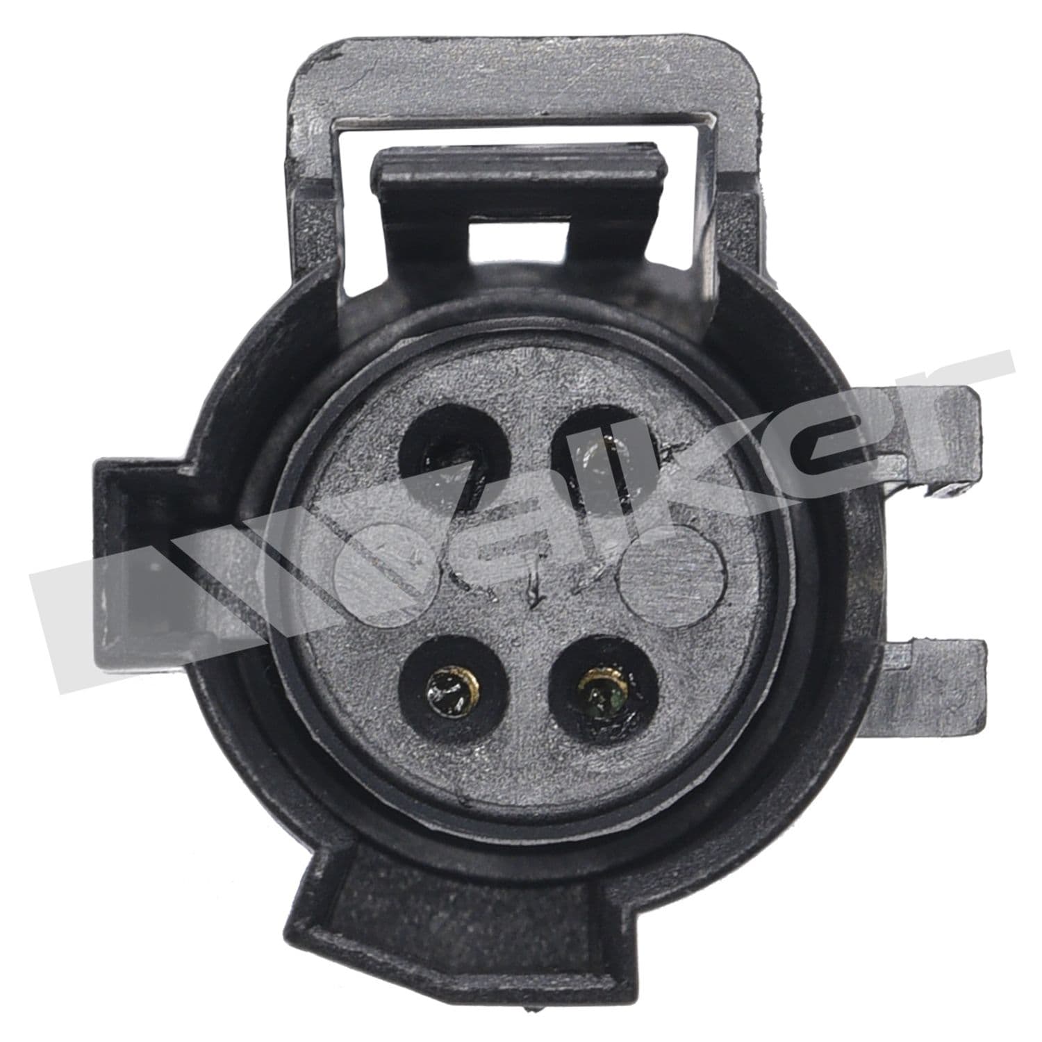 226-250-24947 - Image 2