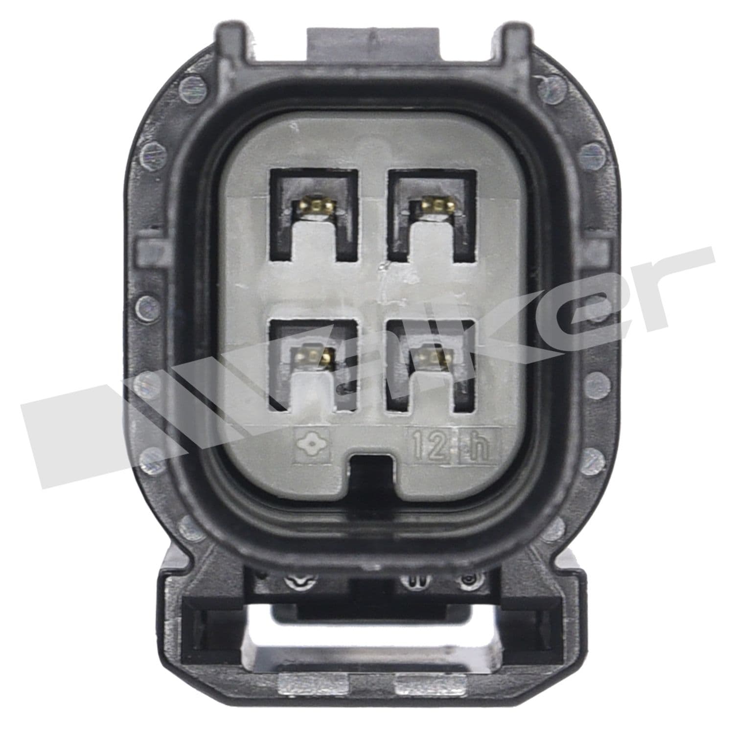 226-250-24915 - Image 3