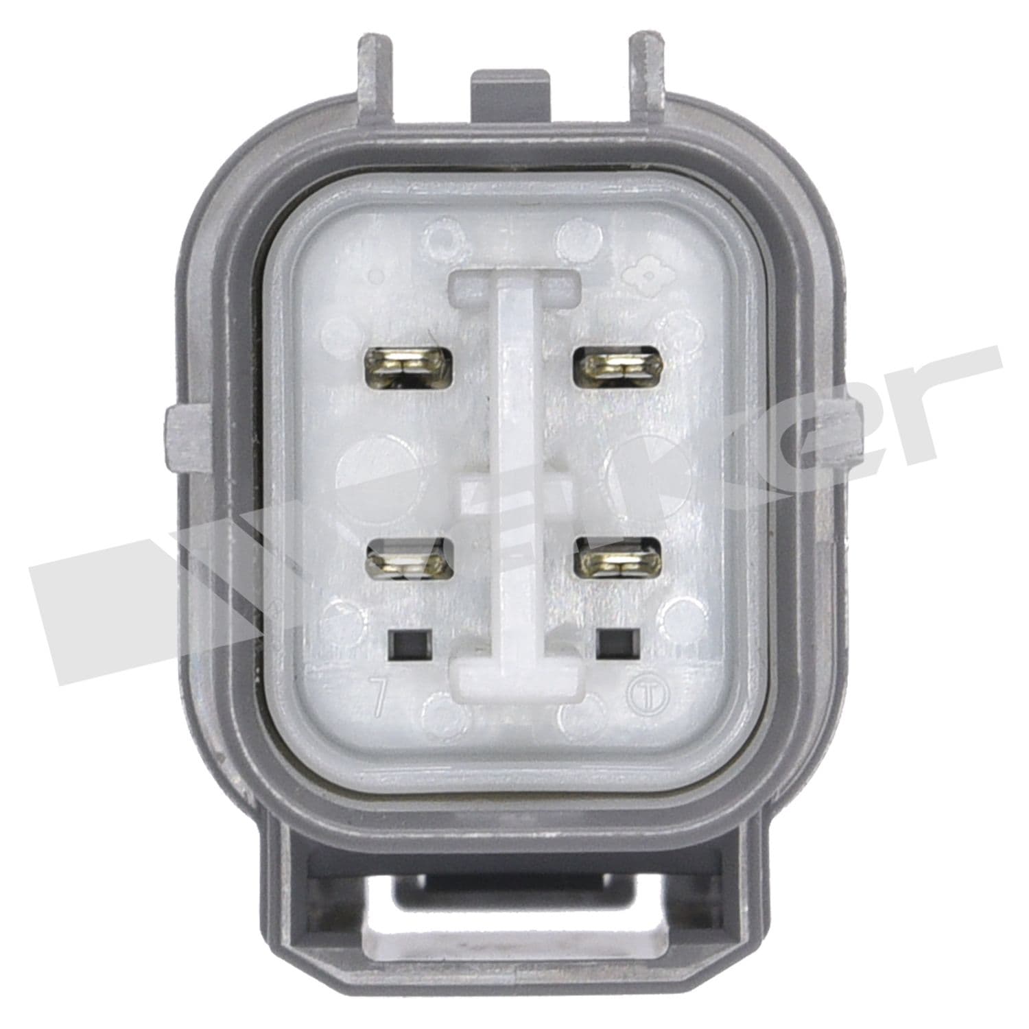 226-250-24498 - Image 3