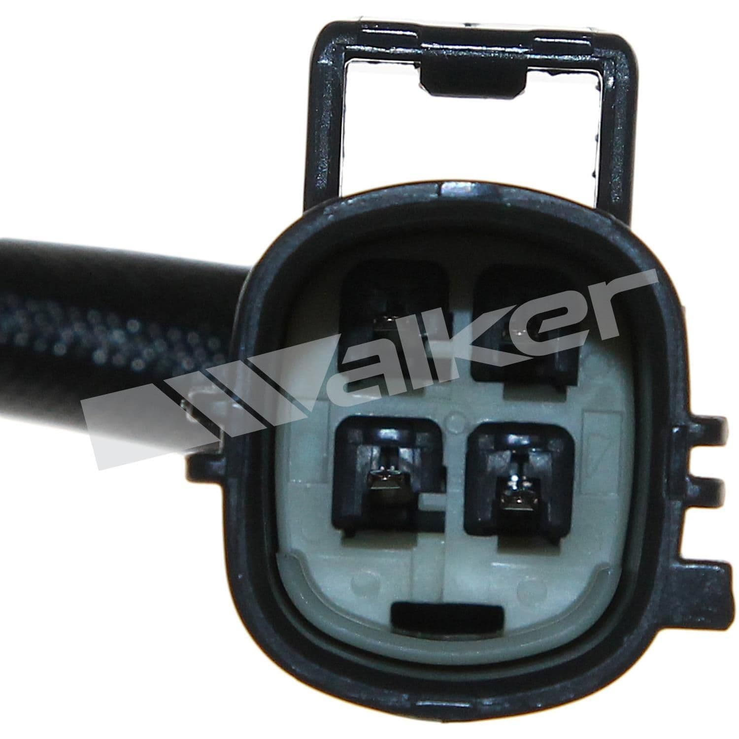 226-250-24450 - Image 3