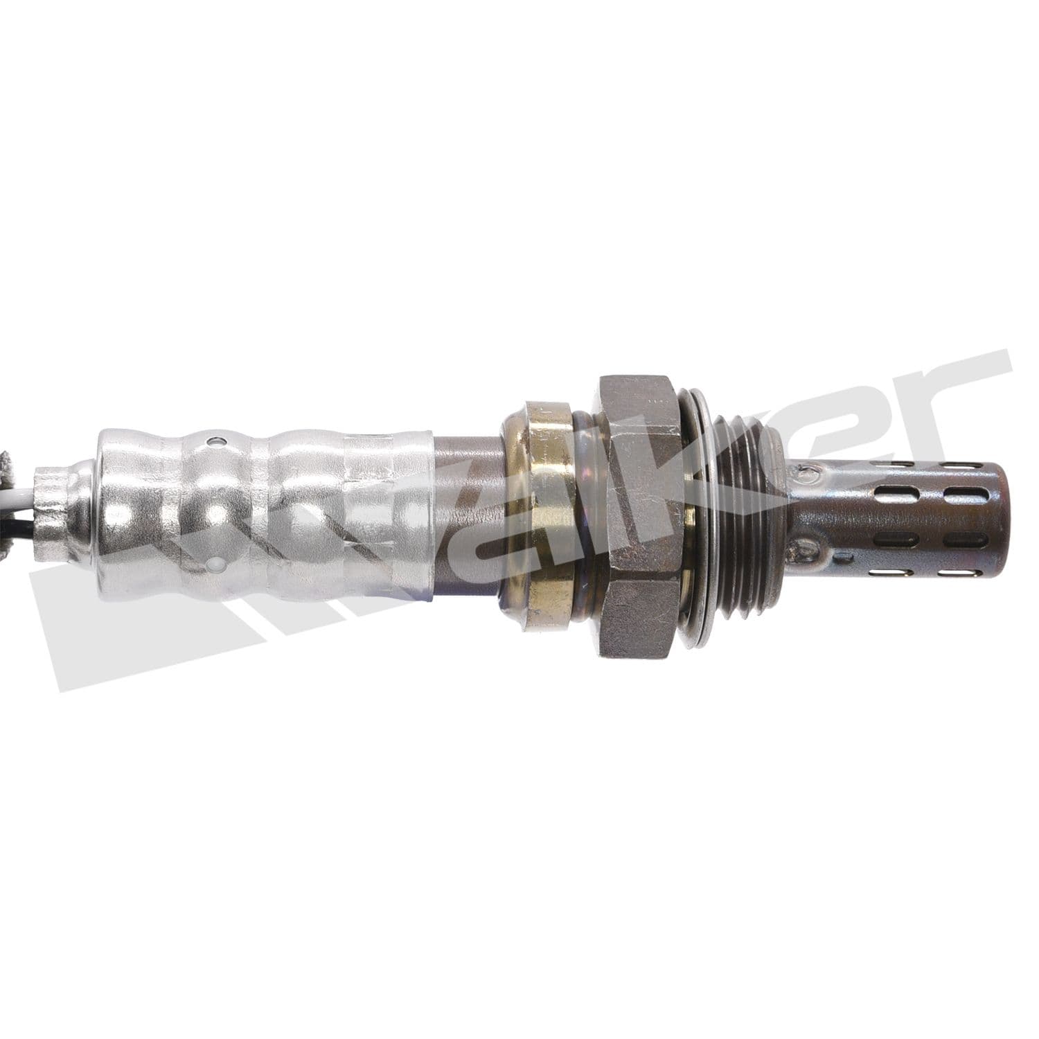 226-250-241245 - Image 3