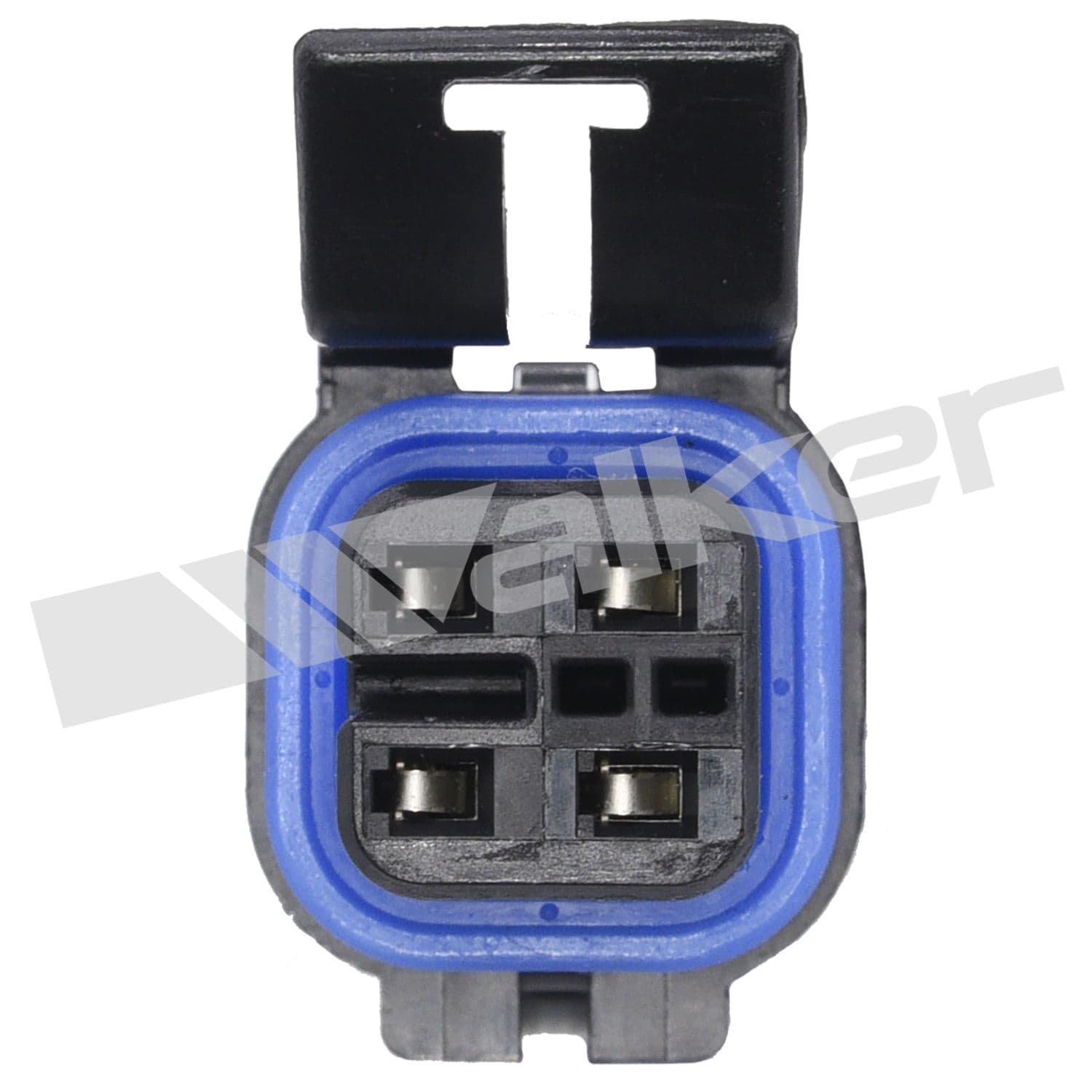 226-250-24617 - Image 3