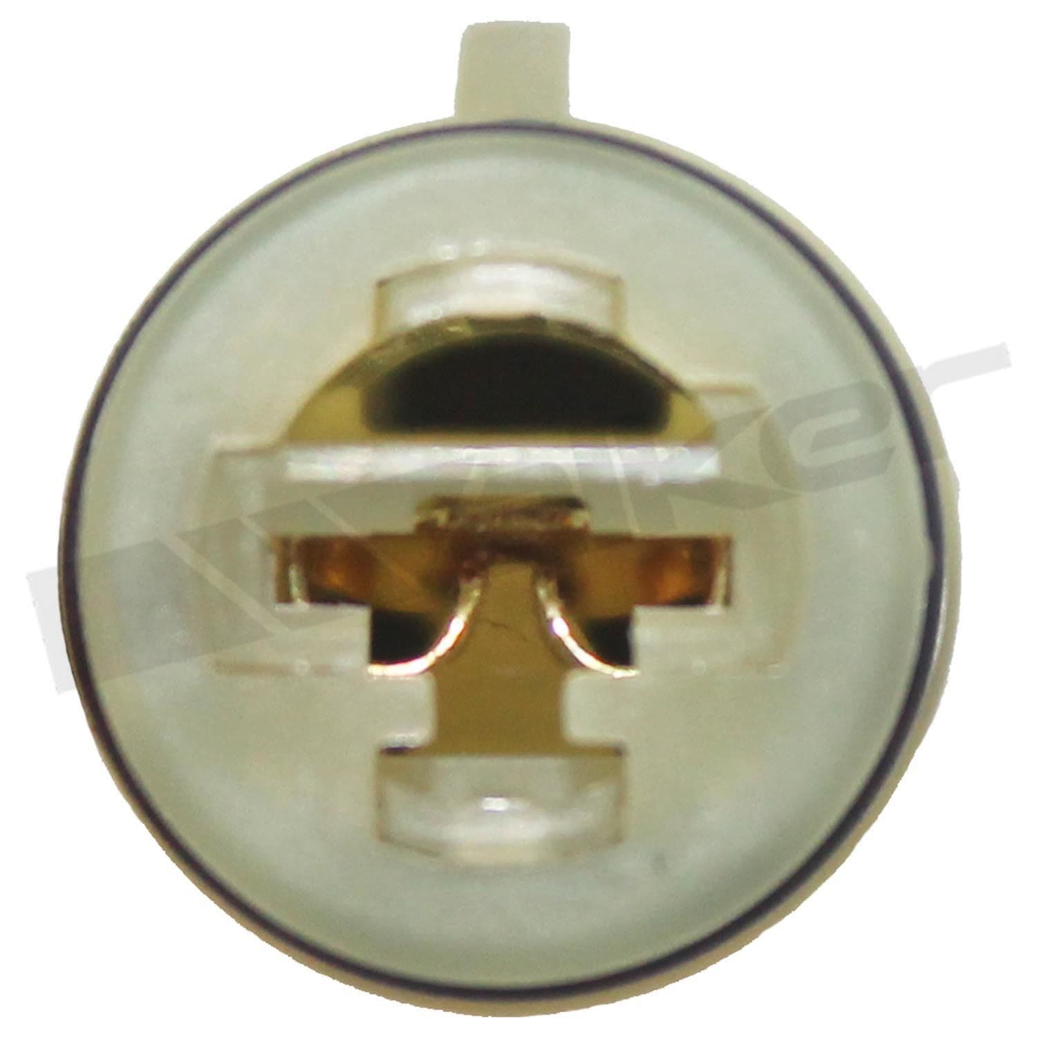 226-350-31023 - Image 4