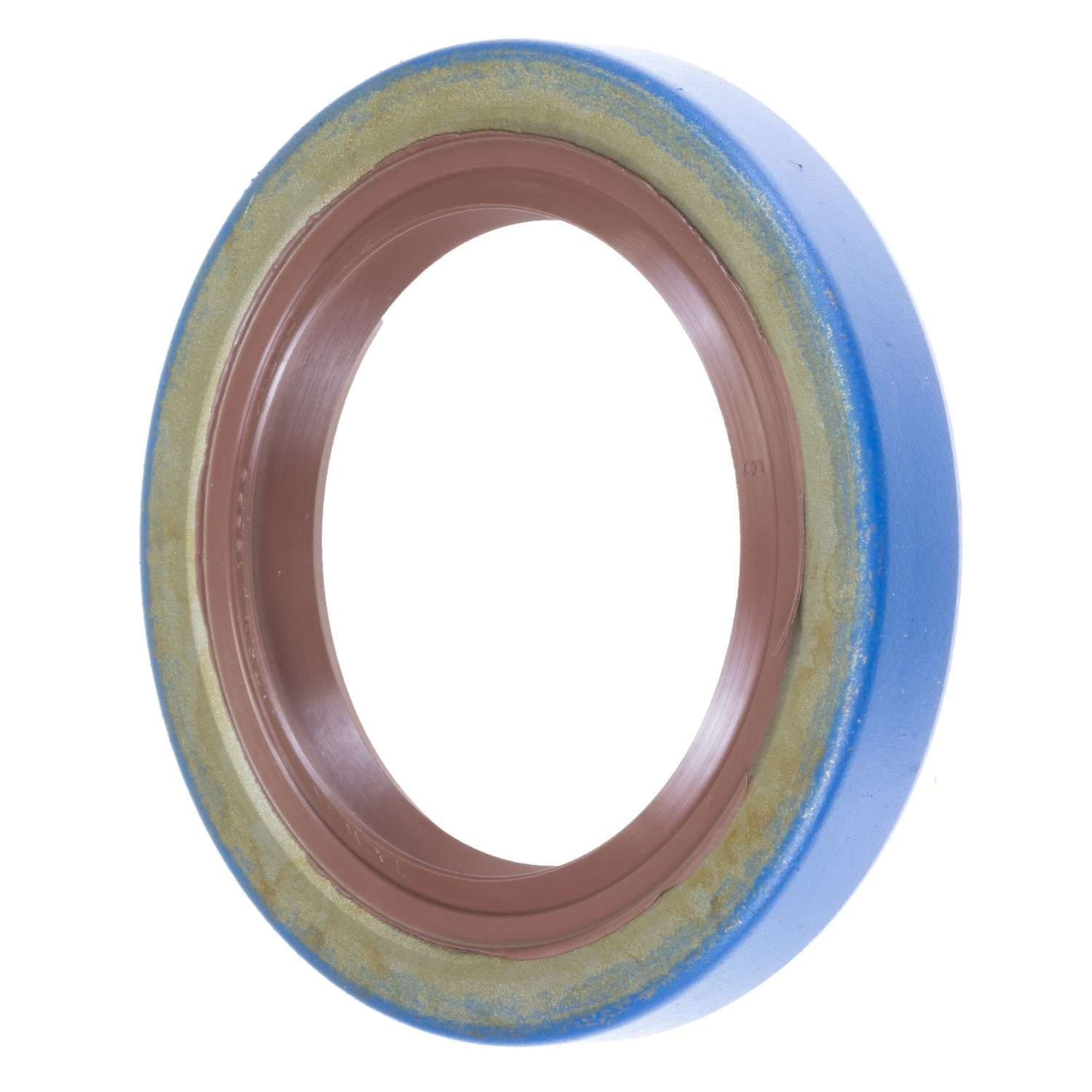 497-SS2555 - Image 2