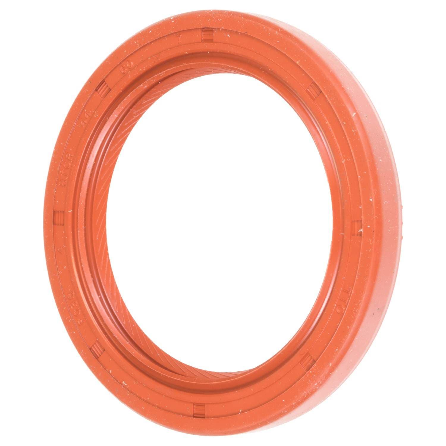 497-SS2772 - Image 2