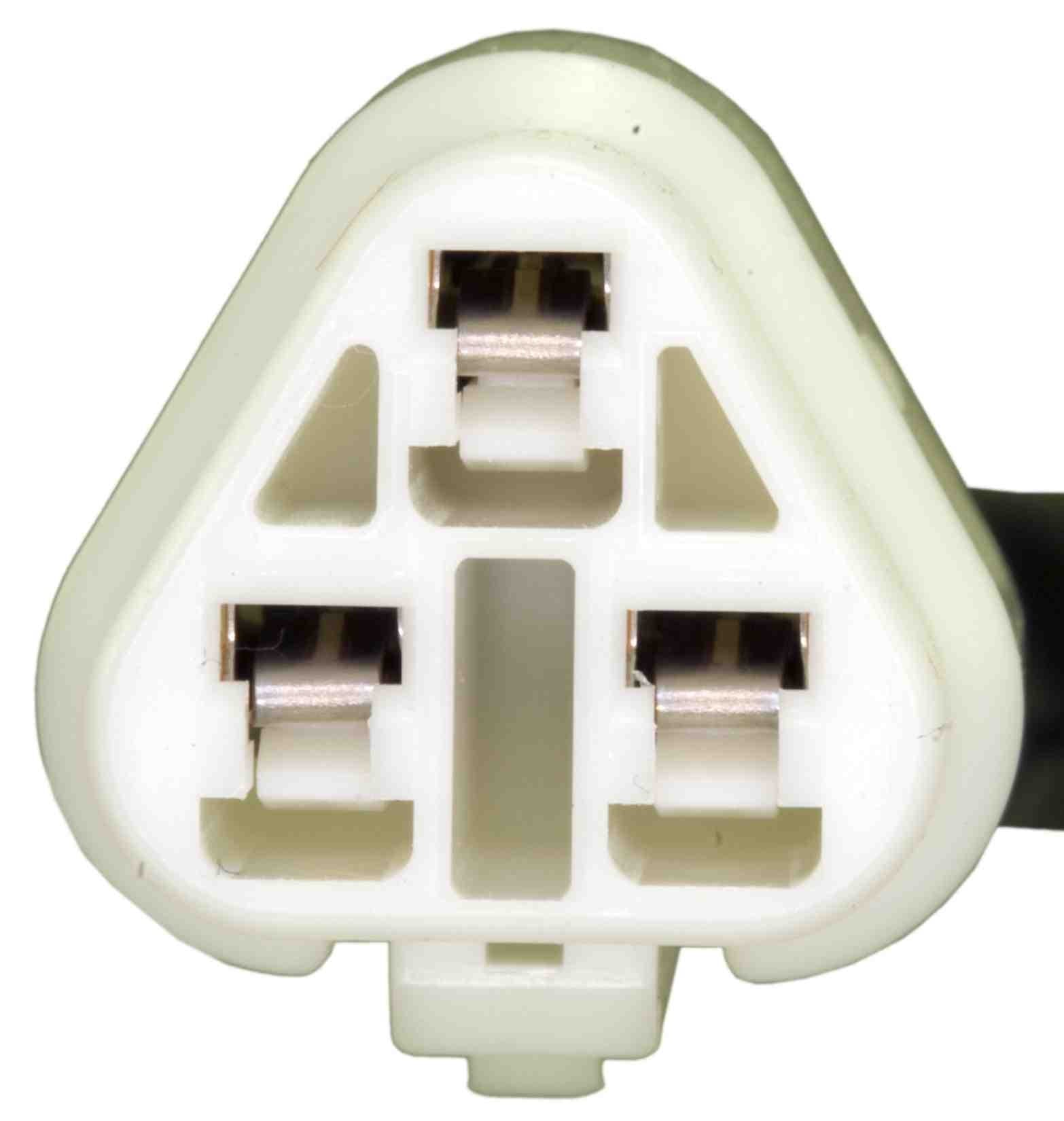 428-TH0176 - Image 3