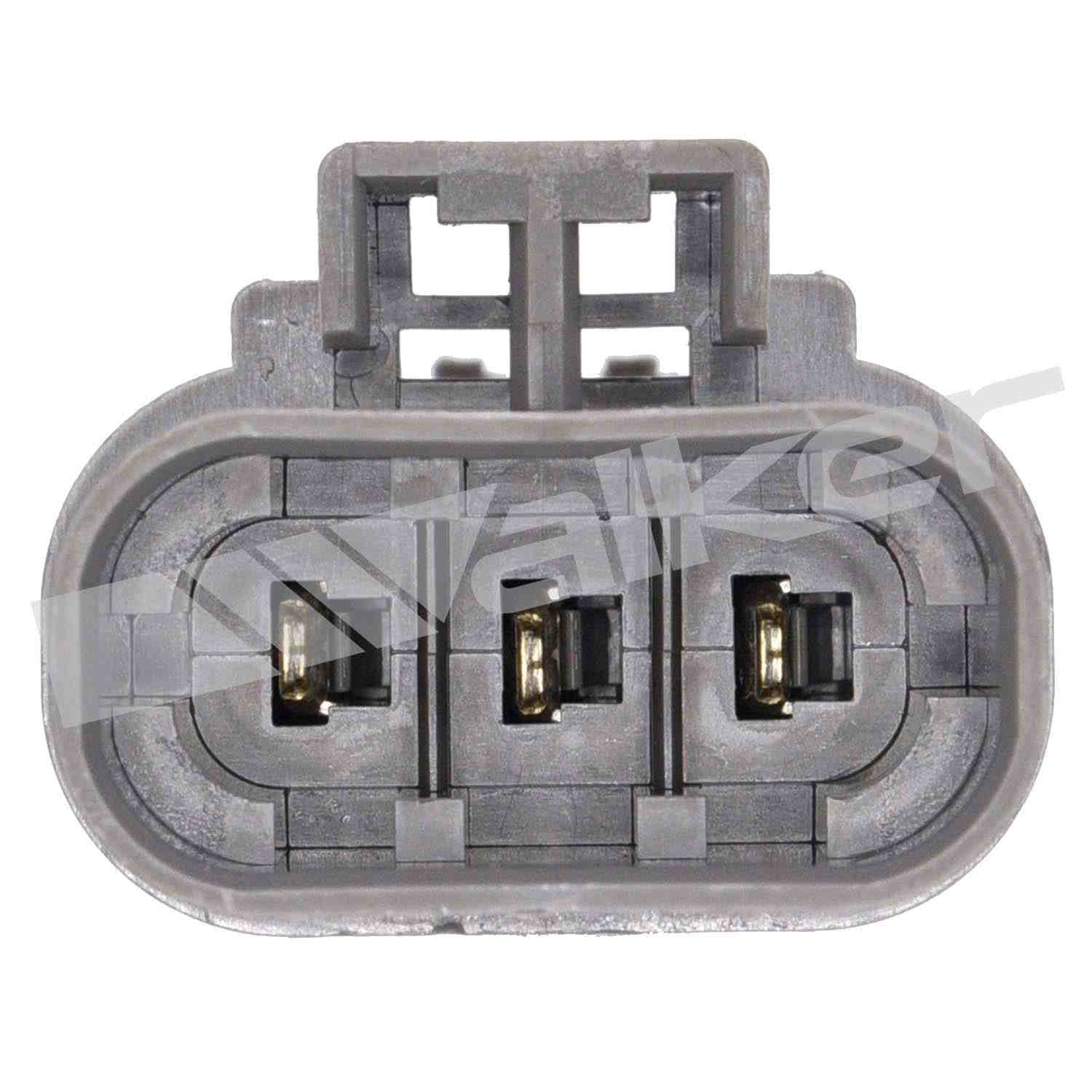 226-250-23089 - Image 2