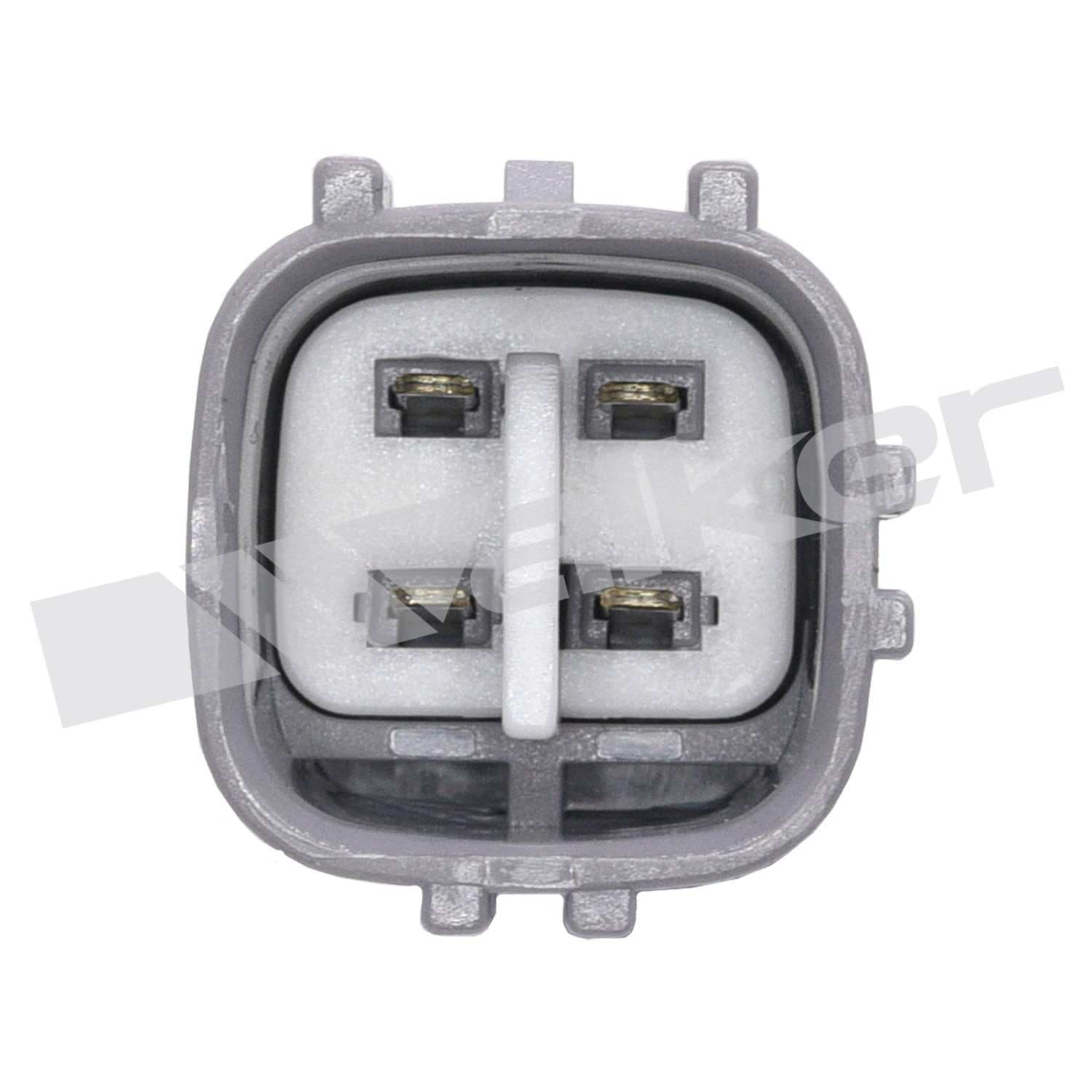 226-250-24623 - Image 3