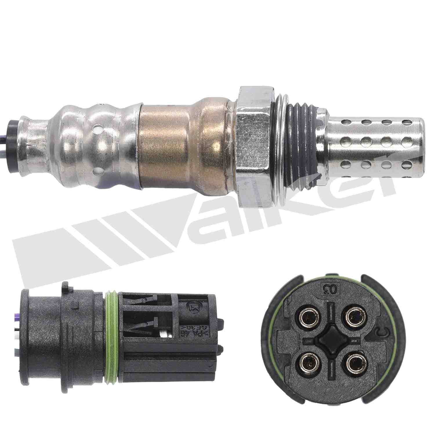 226-250-24713 - Image 2