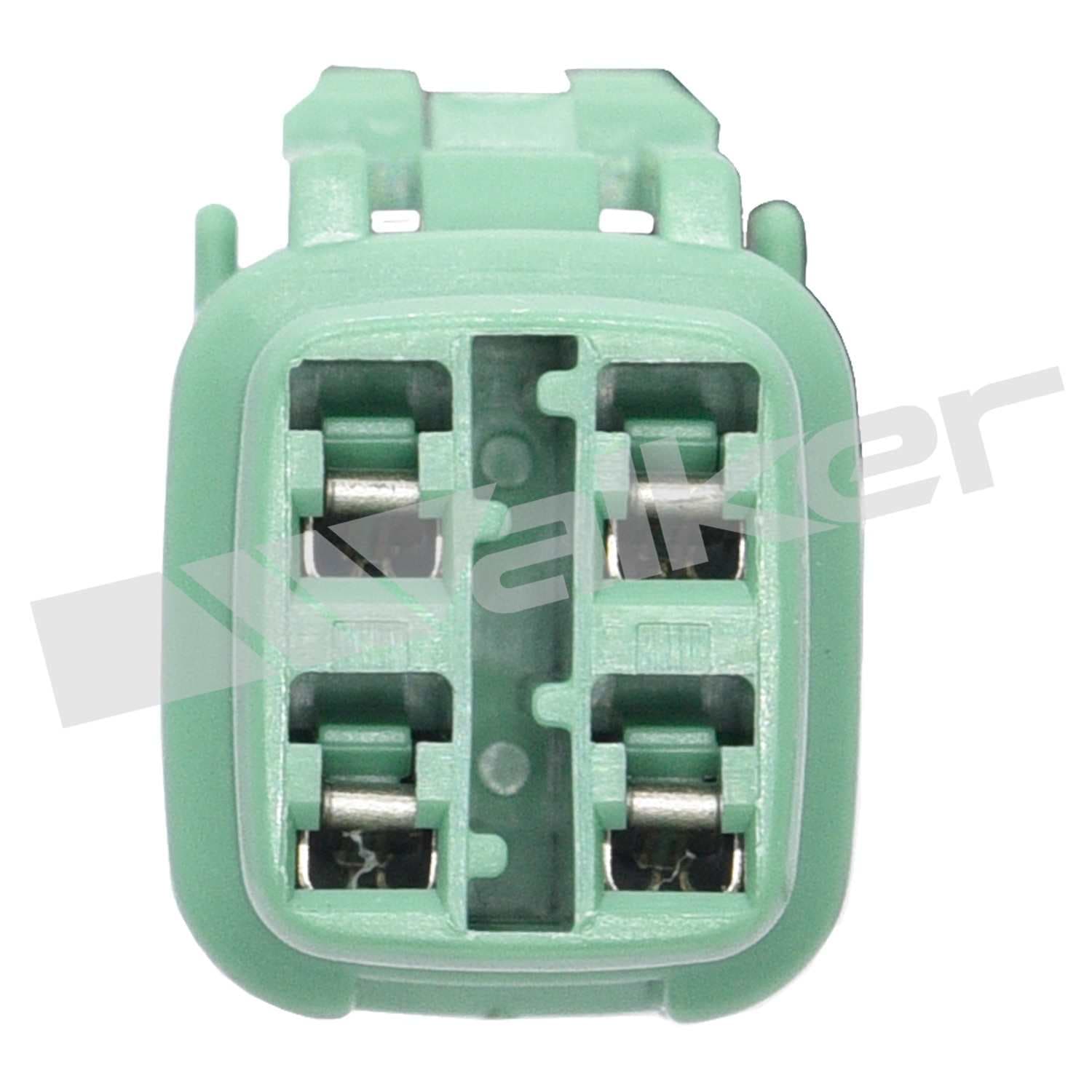 226-250-24861 - Image 2