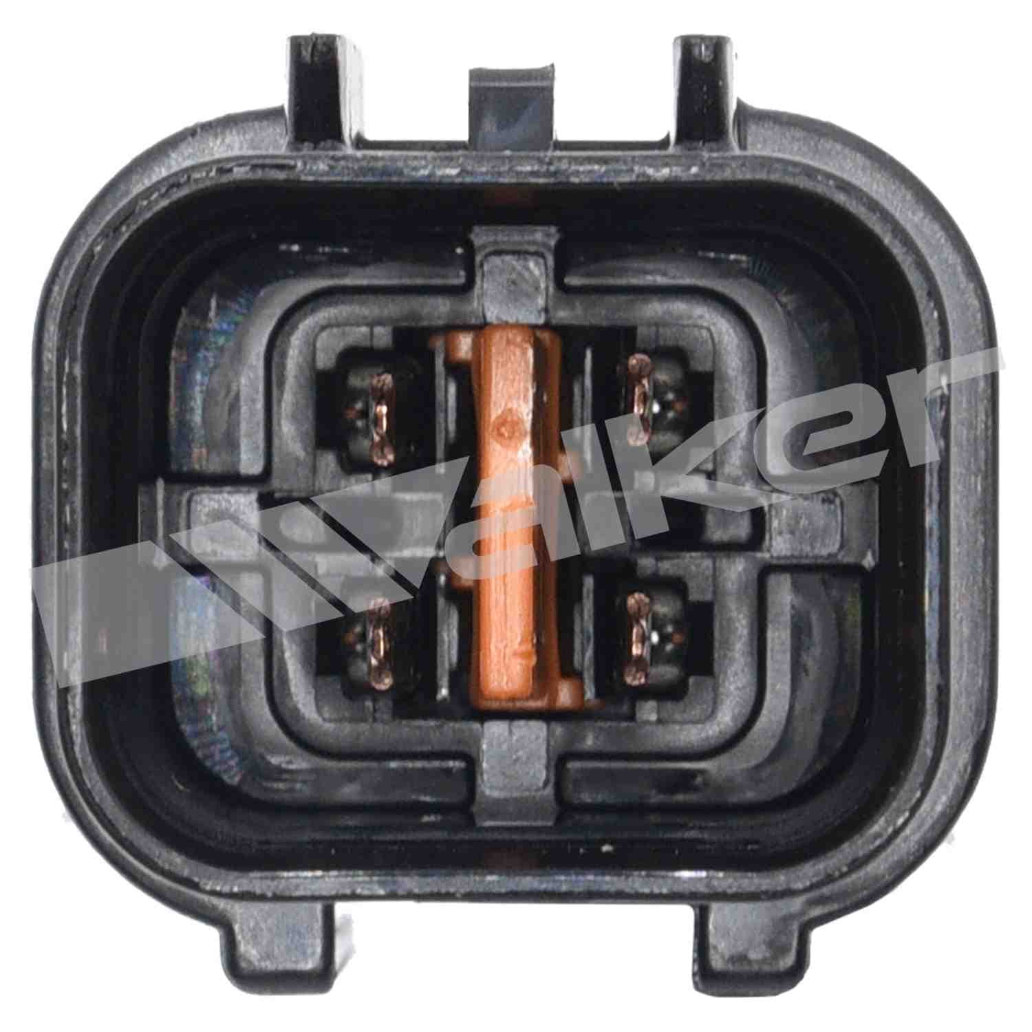 226-250-24909 - Image 2