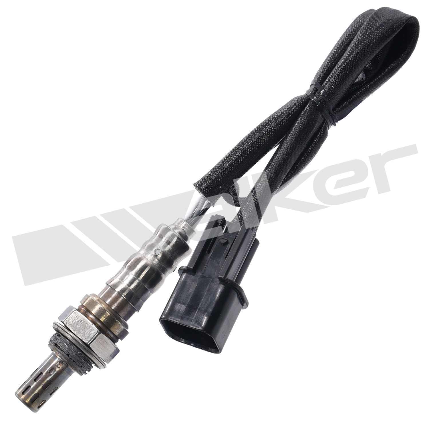 226-250-24916 - Image 2