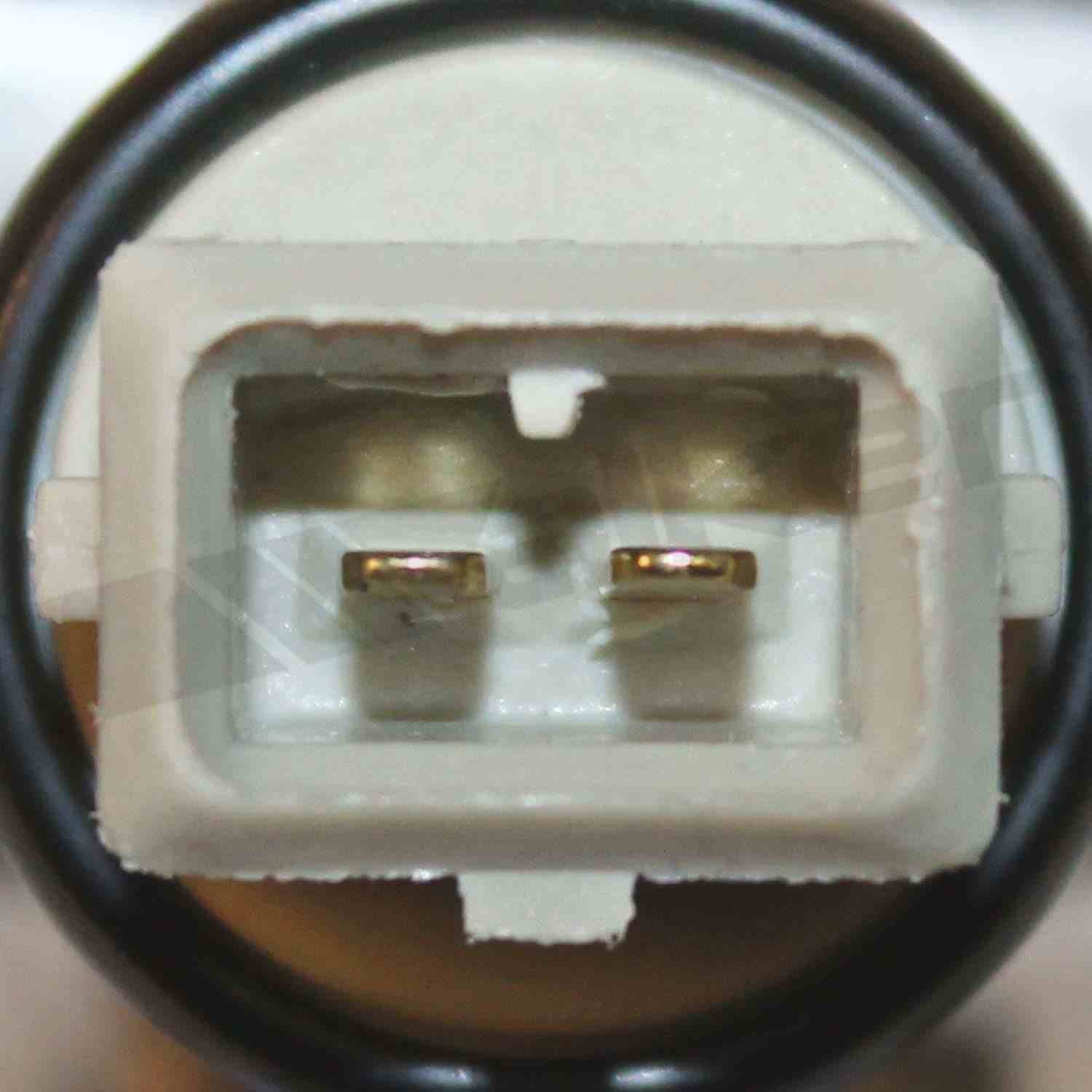 226-590-1162 - Image 4