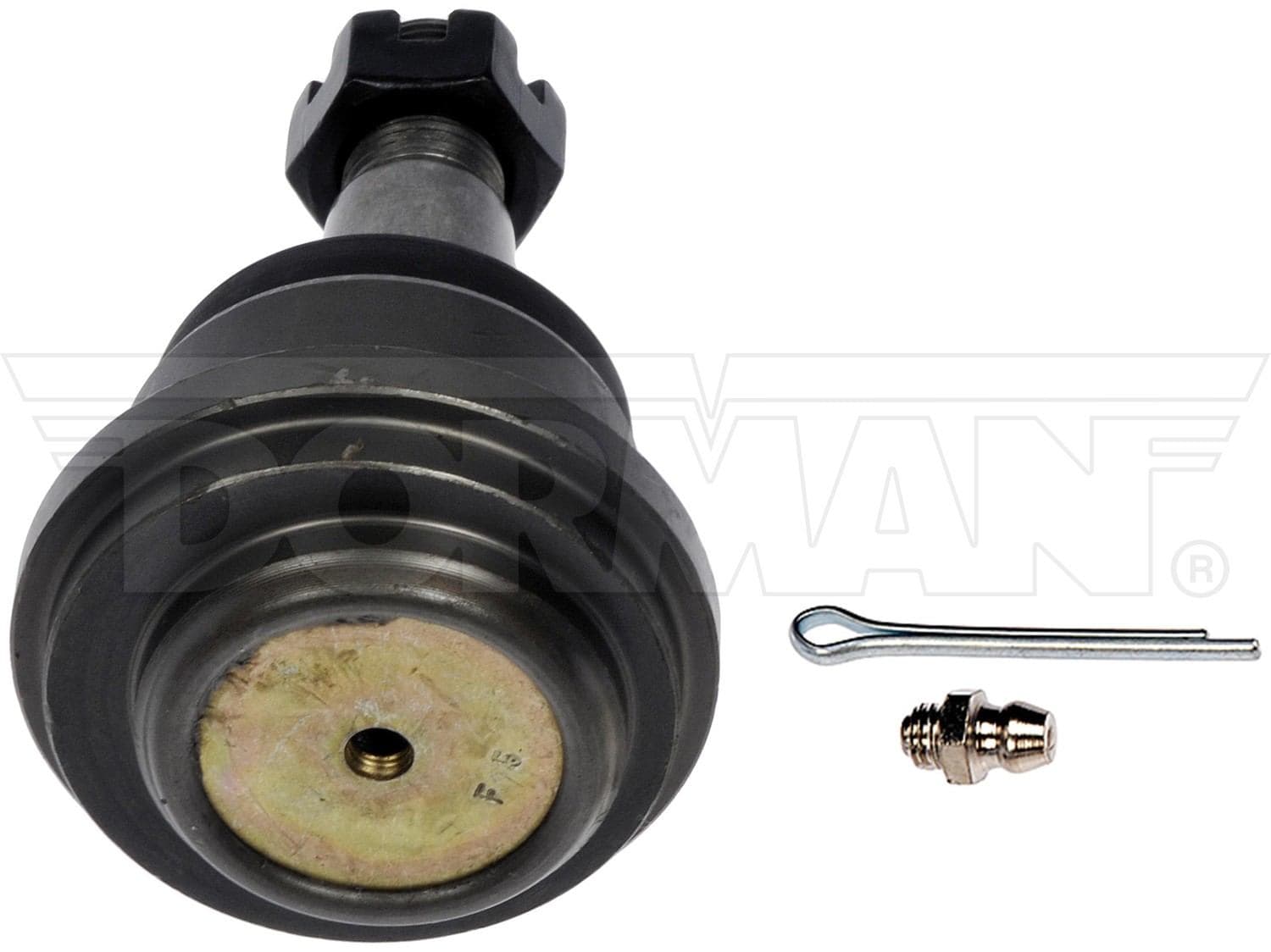 629-539-005 - Image 2