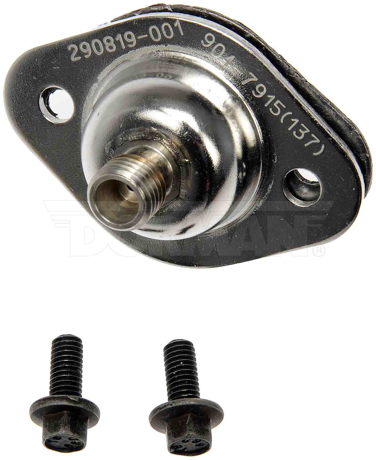 805-904-7915 - Image 4