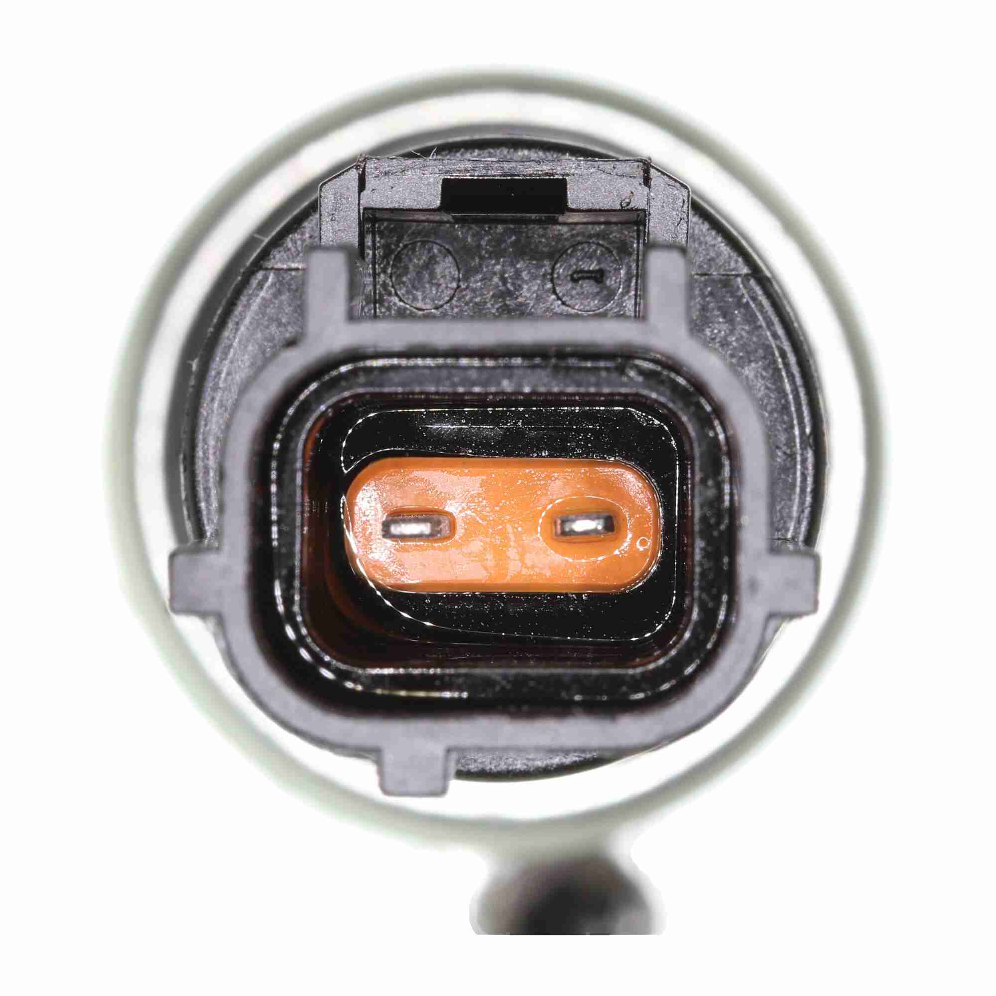 346-V25-0981 - Image 4