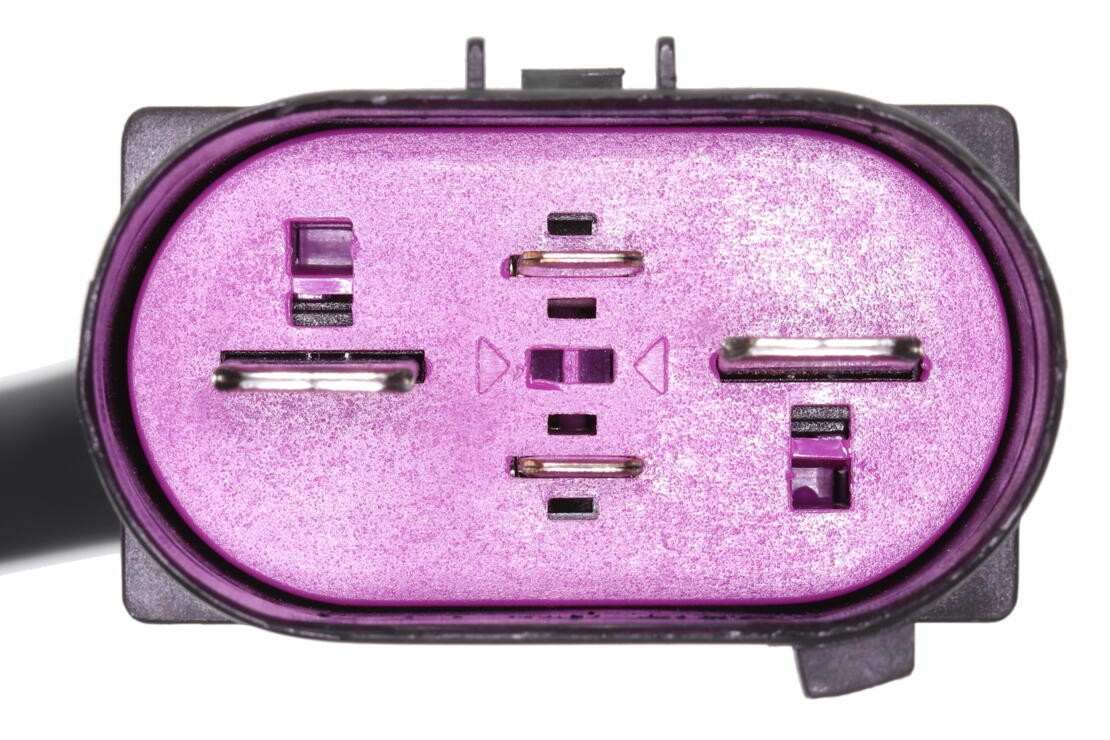 370-V10-79-0030 - Image 4