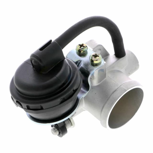 category-370-V20-81-0028