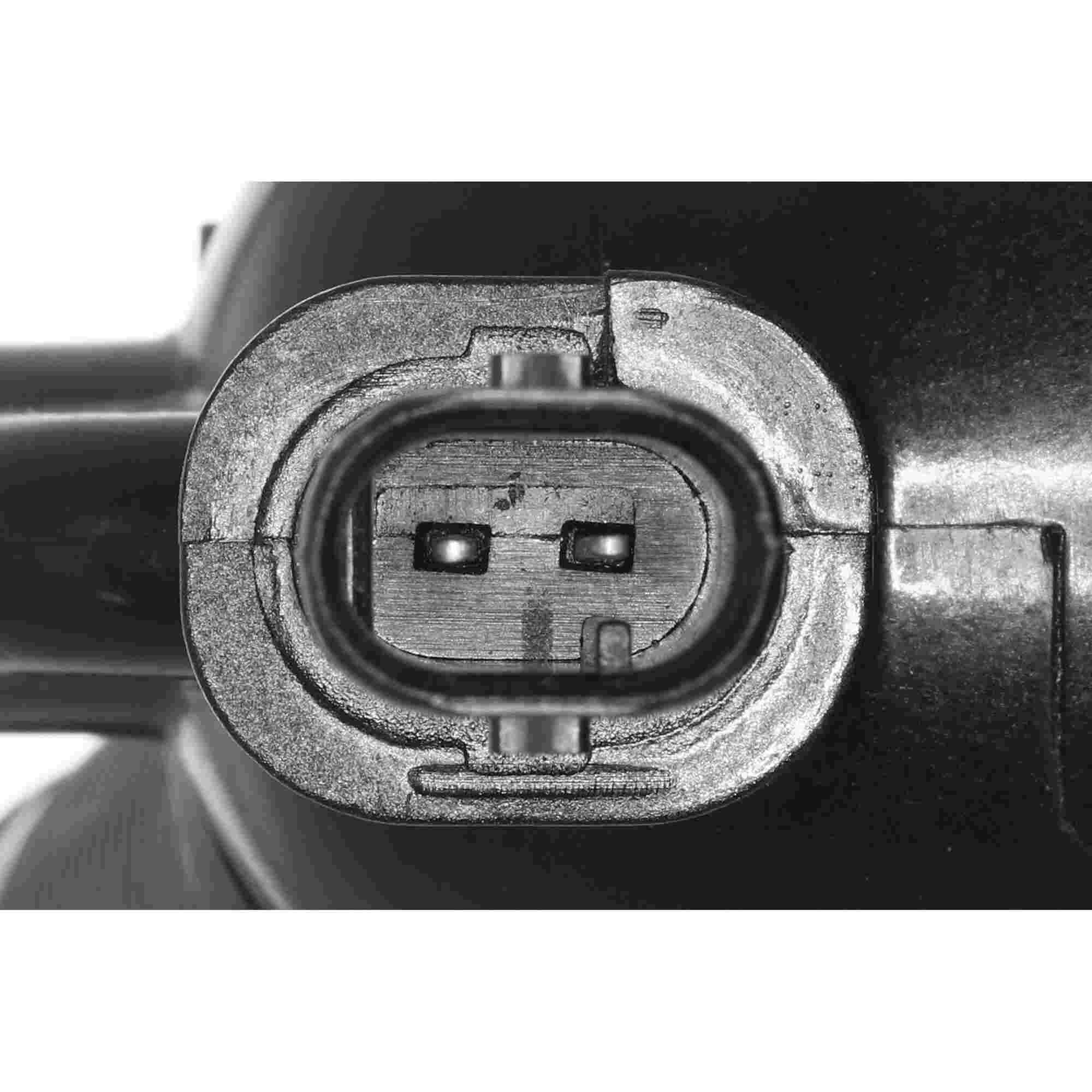 370-V20-99-0175 - Image 4