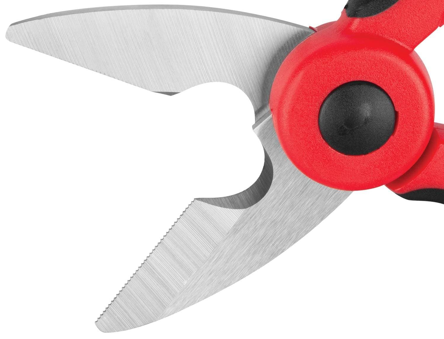 1296-20247 - Image 2