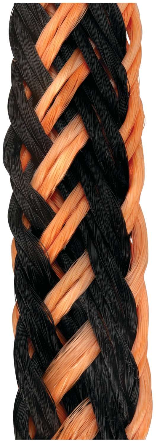 1296-W1437 - Image 4